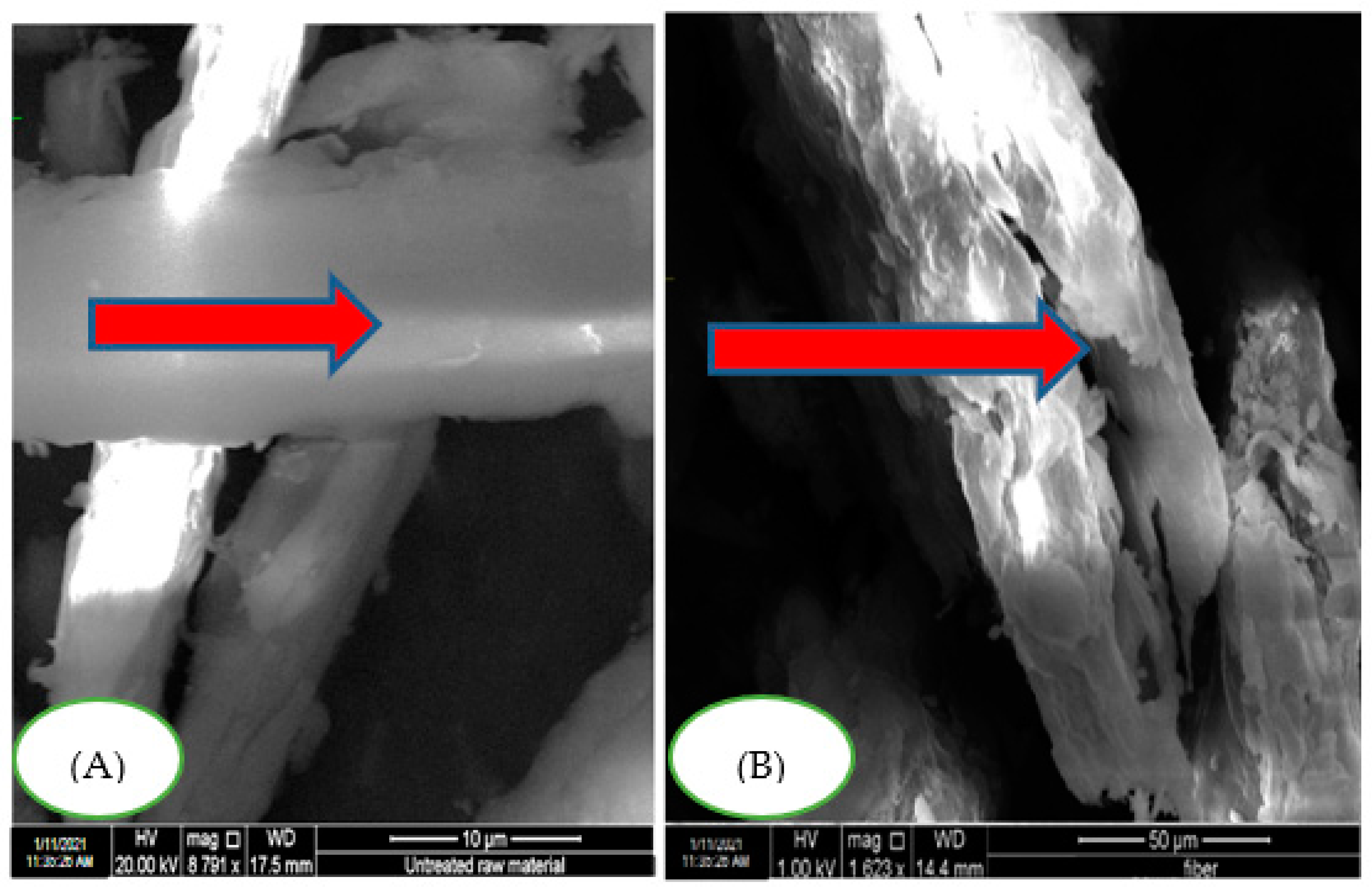 Forests 13 00263 g003