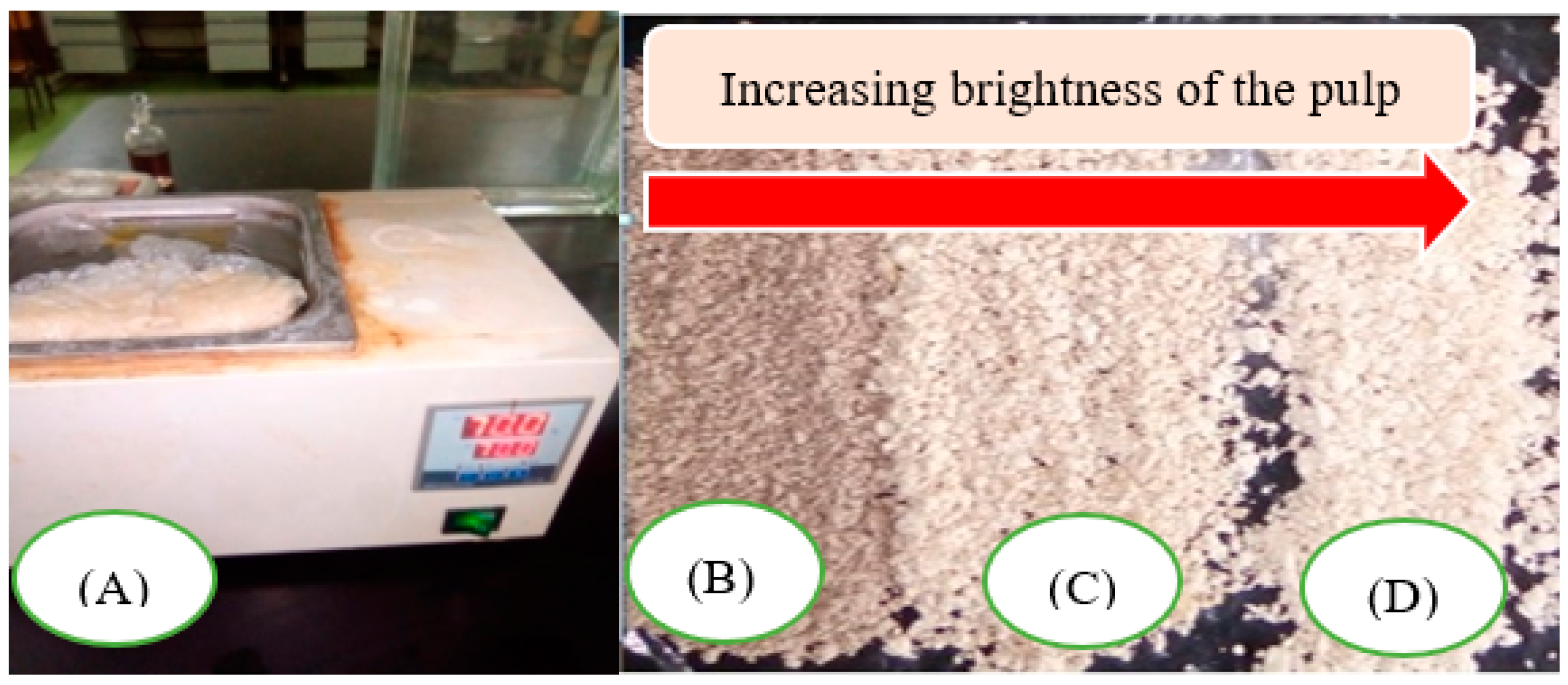 Forests 13 00263 g004
