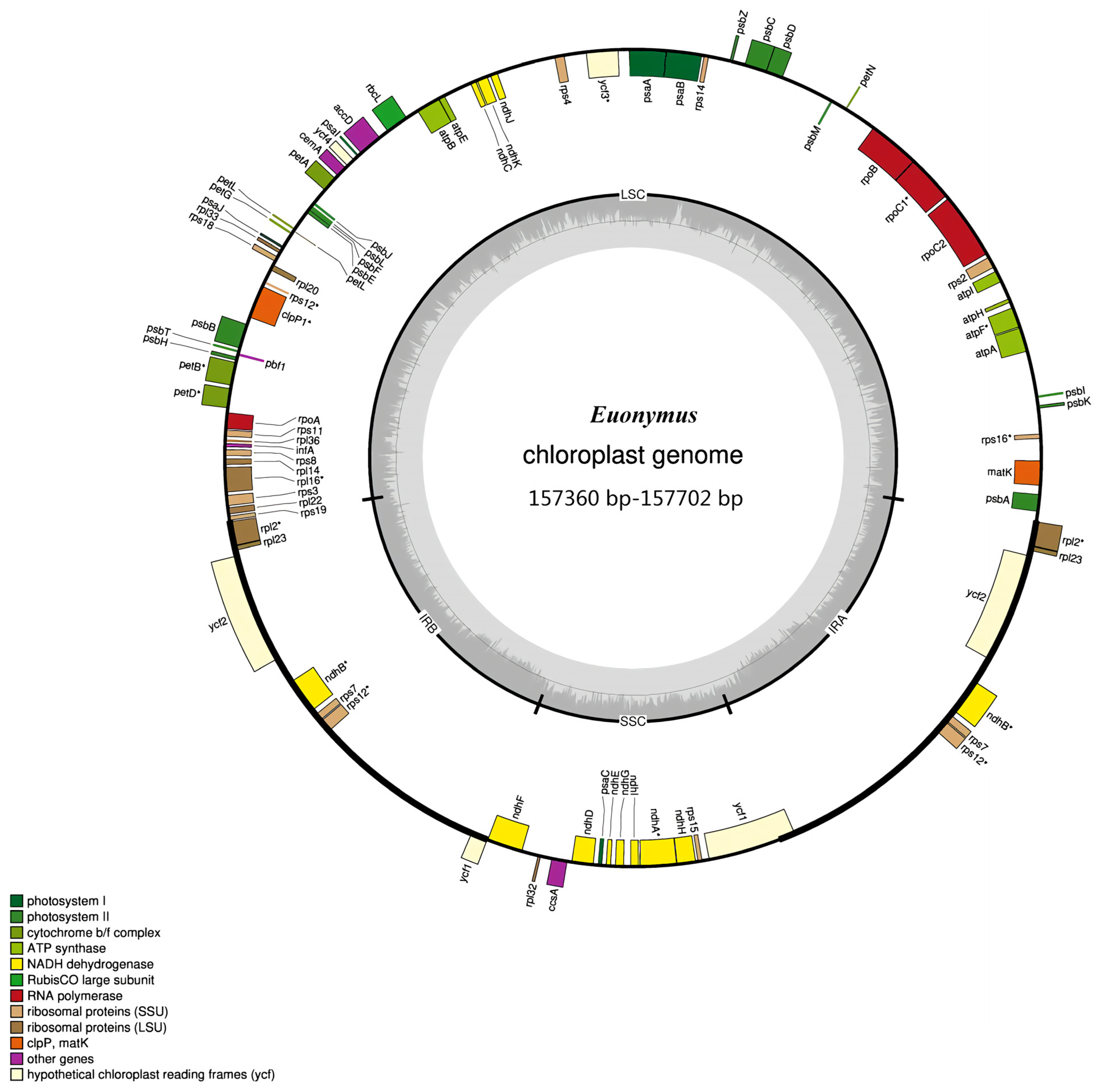 Forests 13 00265 g001