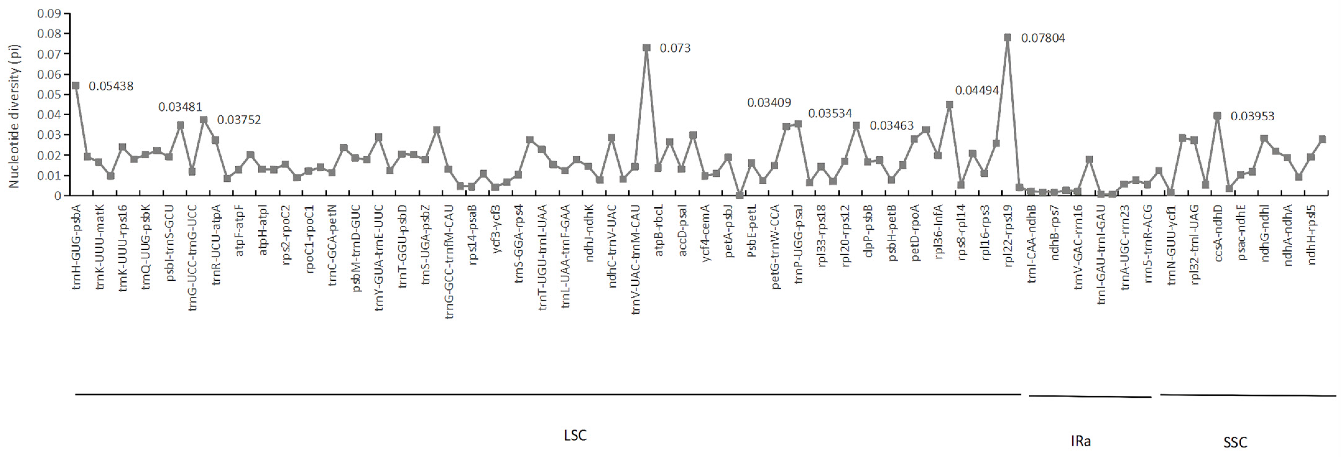 Forests 13 00265 g005