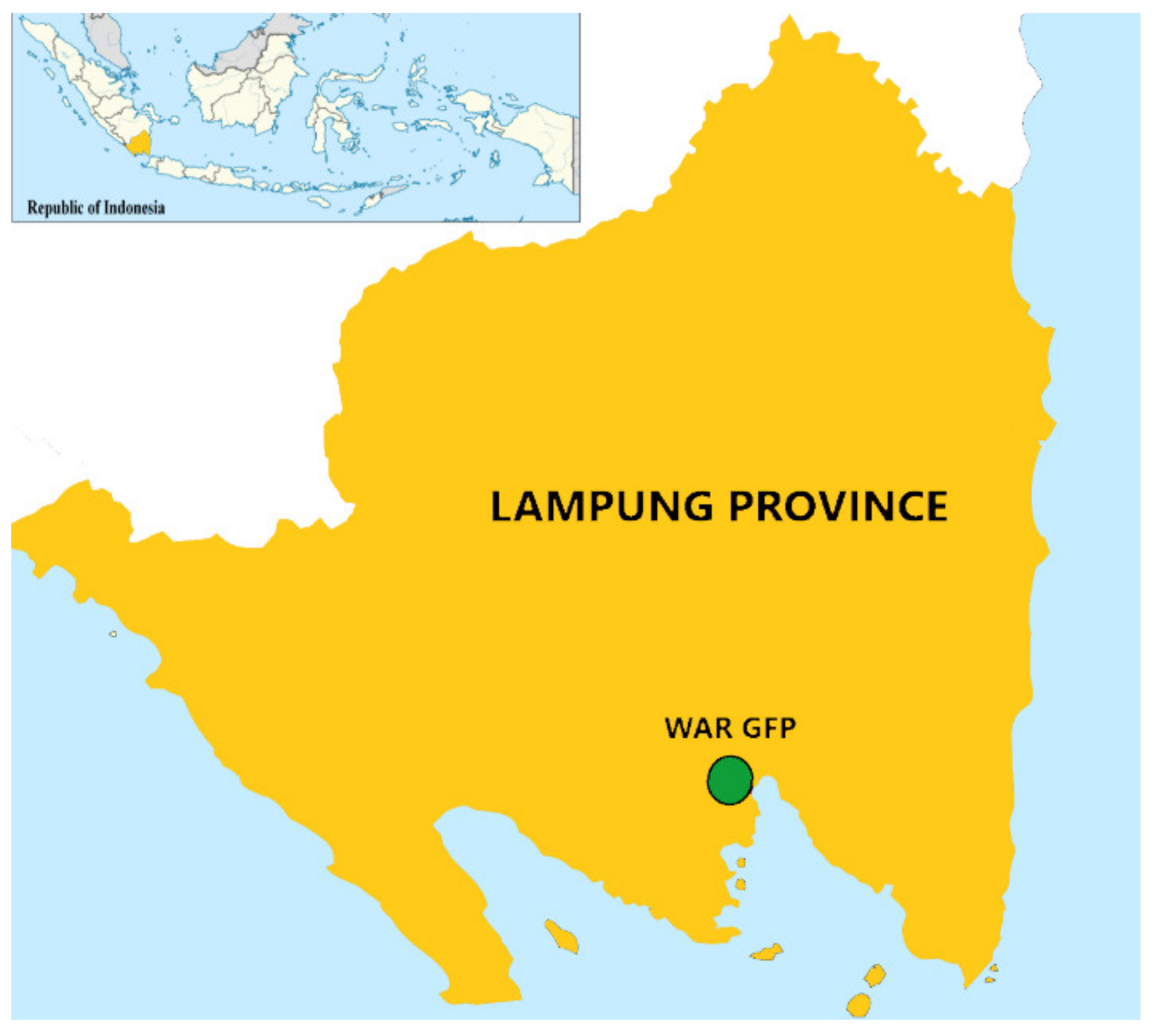 Forests 13 00267 g001