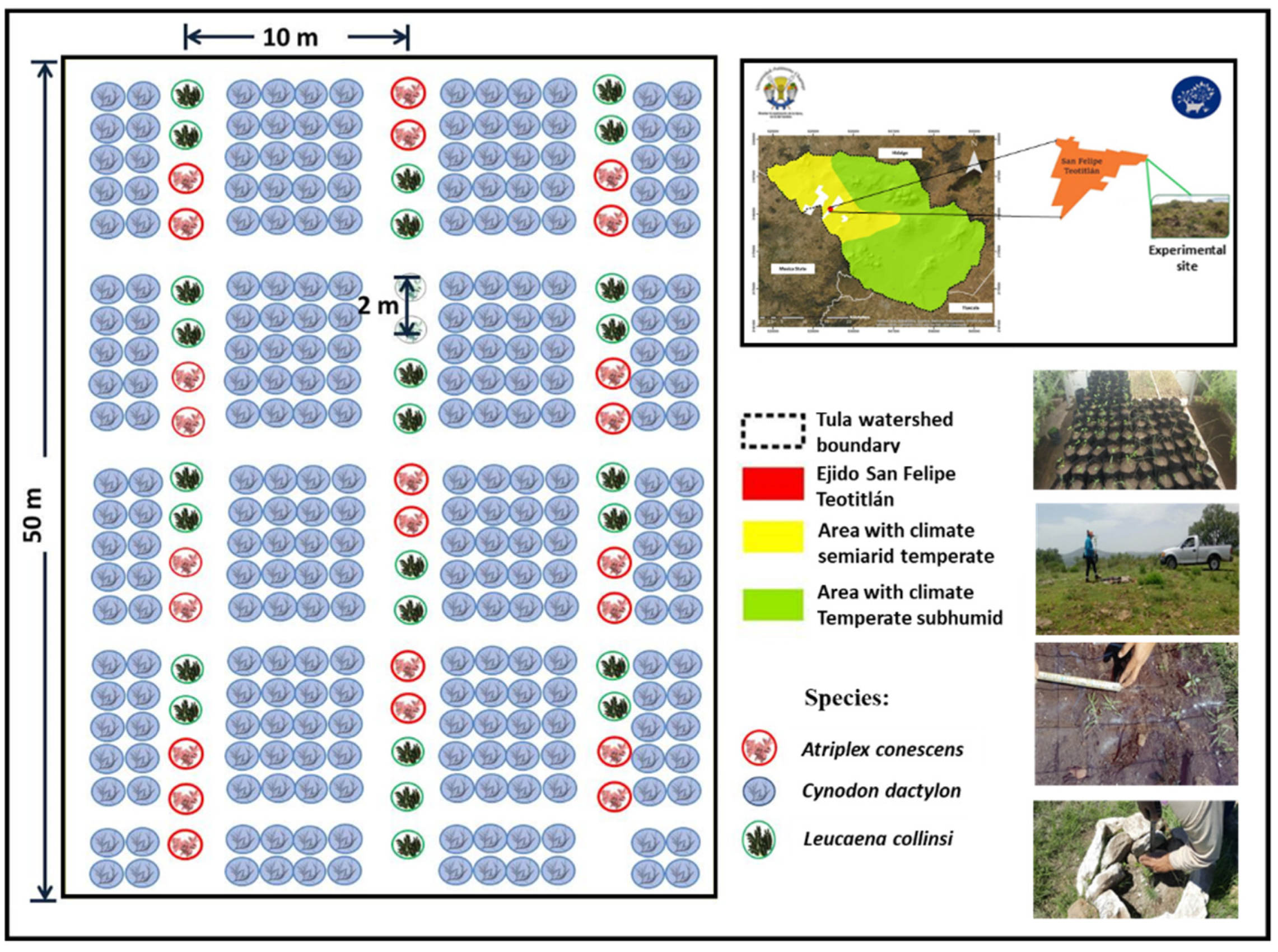 Forests 13 00270 g002 Forests 13 00270 g002