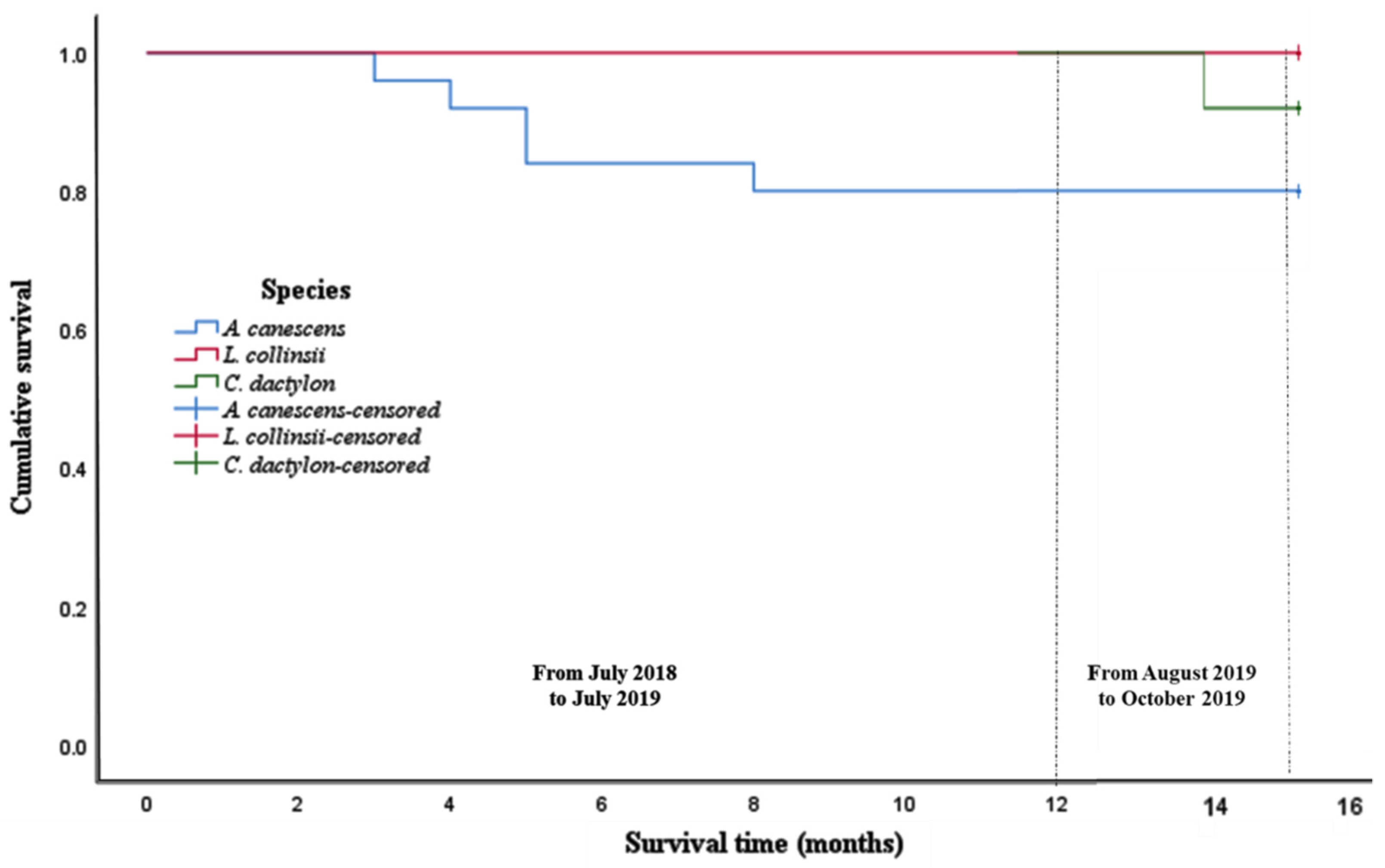 Forests 13 00270 g003 Forests 13 00270 g003