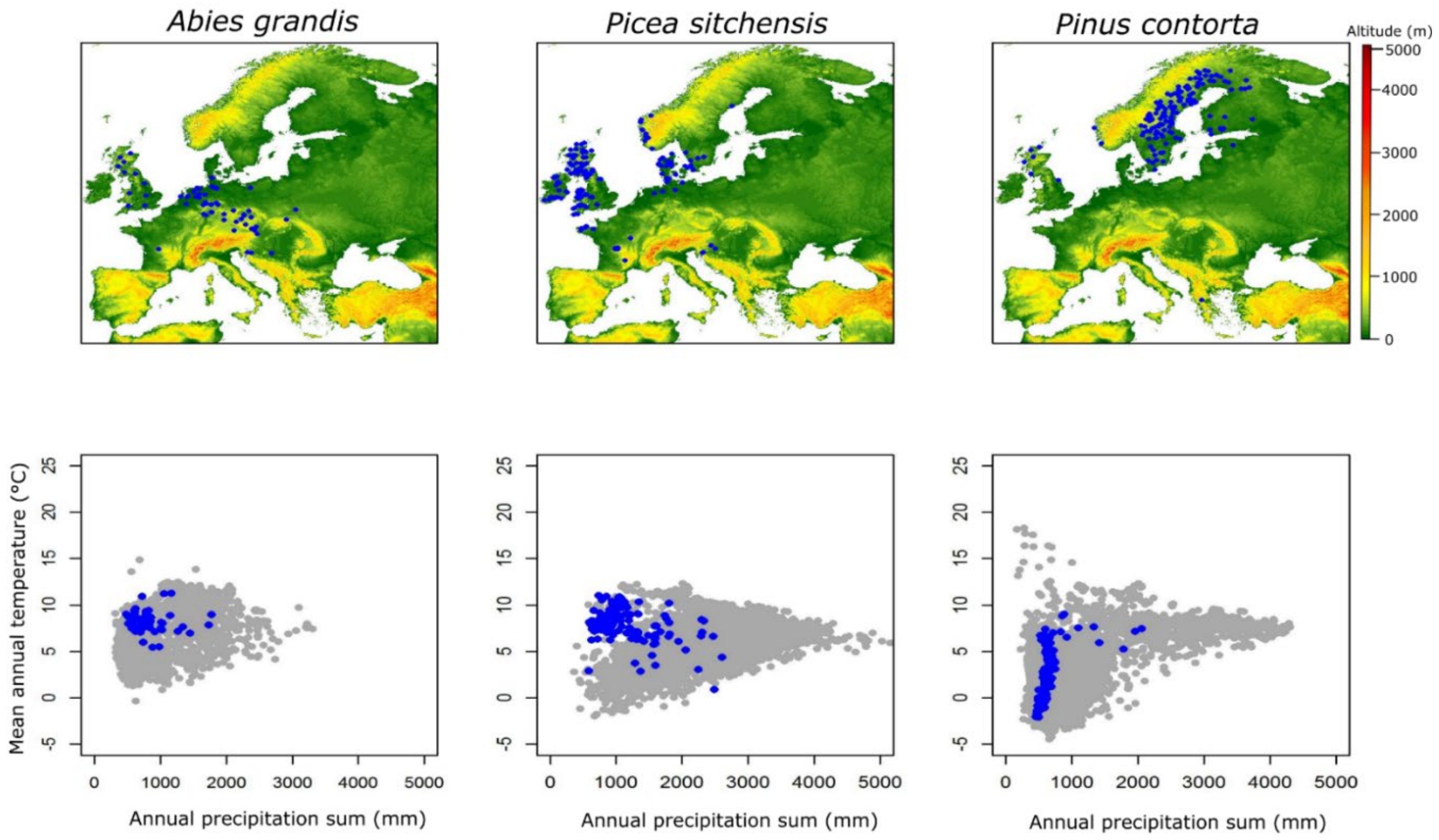 Forests 13 00273 g001a