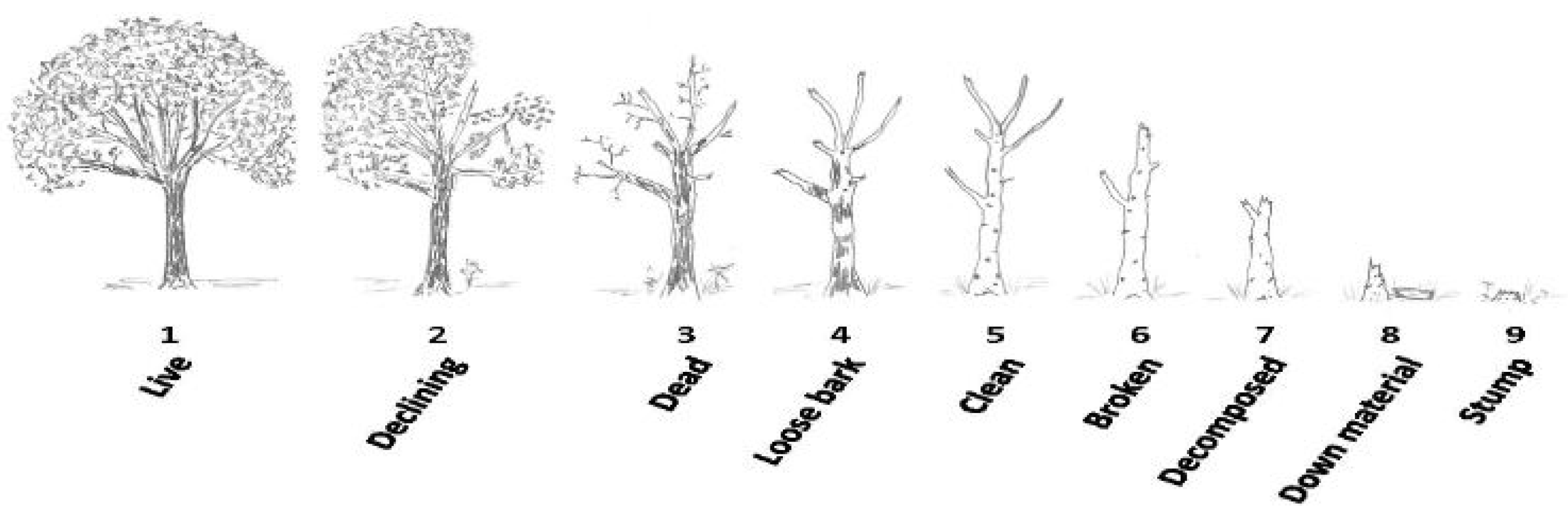 Forests 13 00274 g003