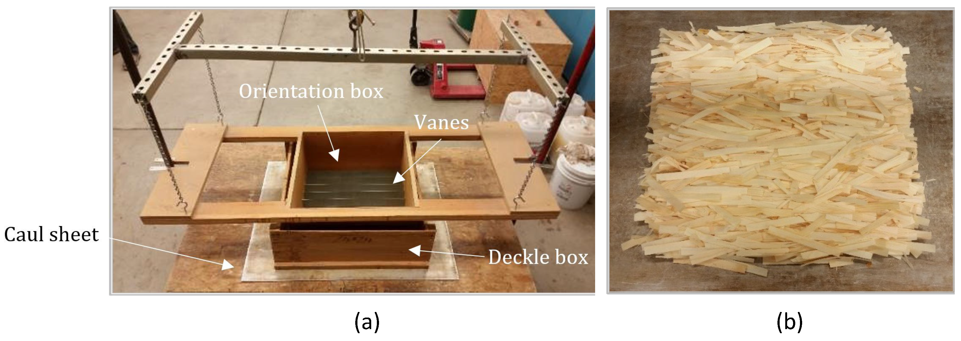 Forests 13 00278 g001
