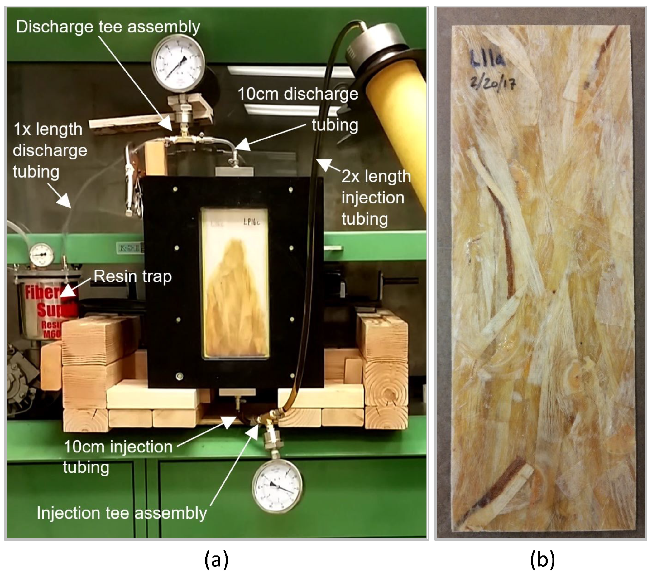 Forests 13 00278 g002