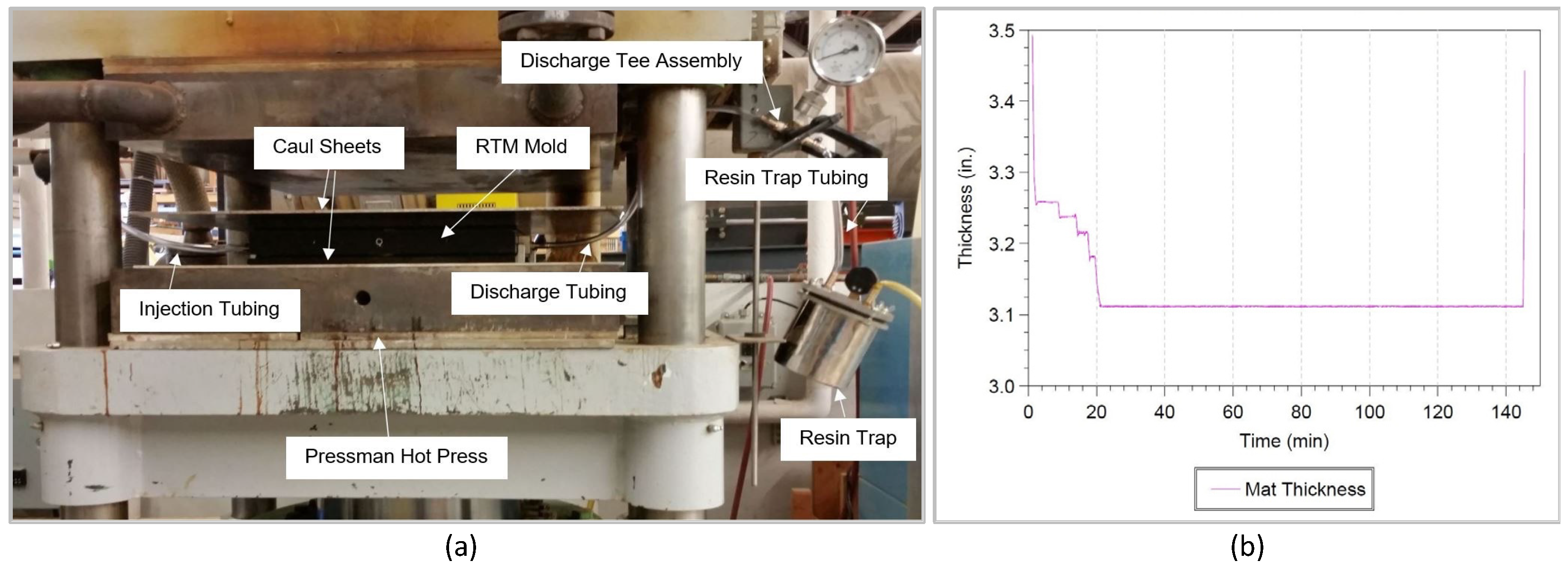 Forests 13 00278 g003
