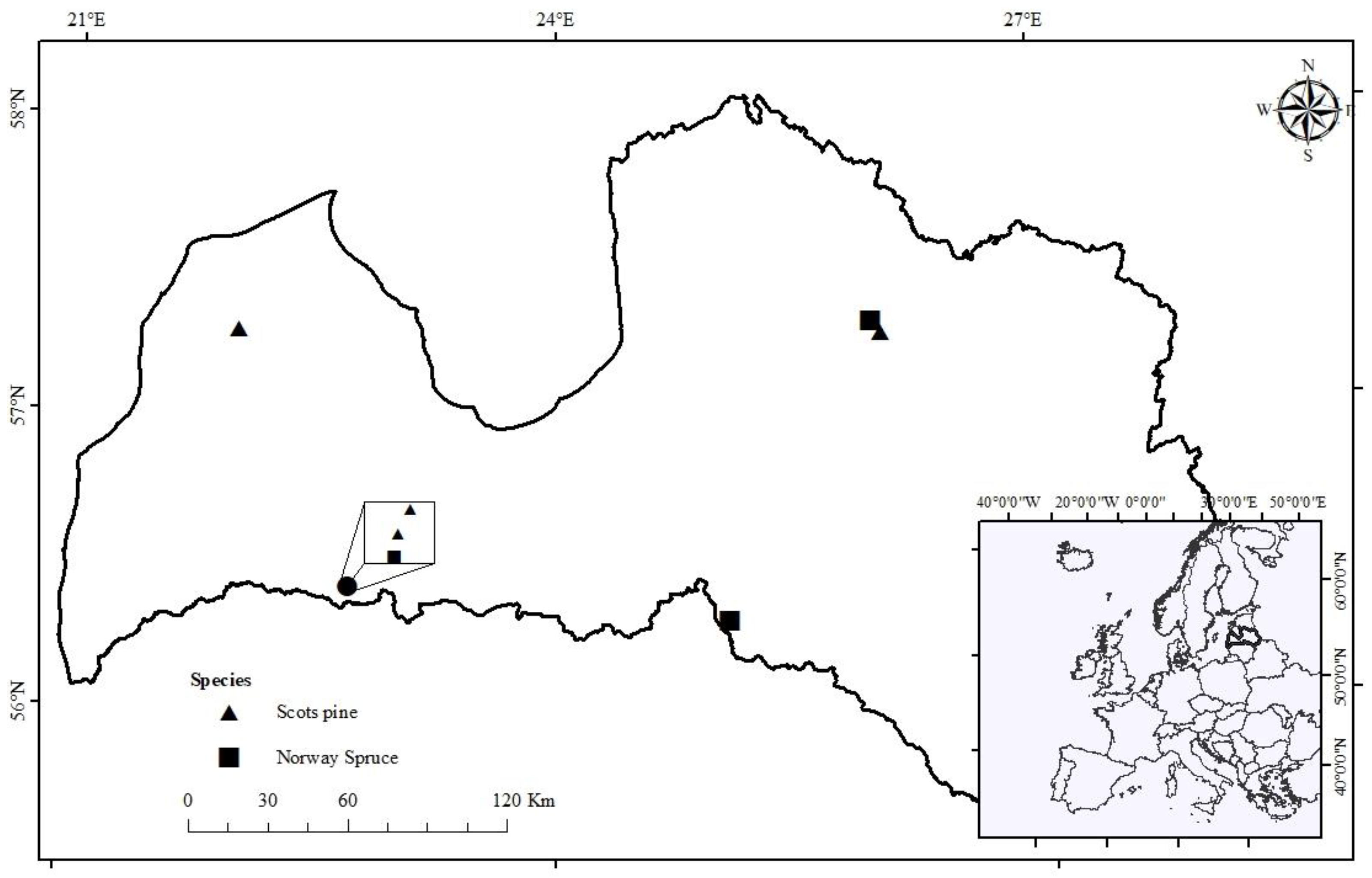 Forests 13 00279 g001