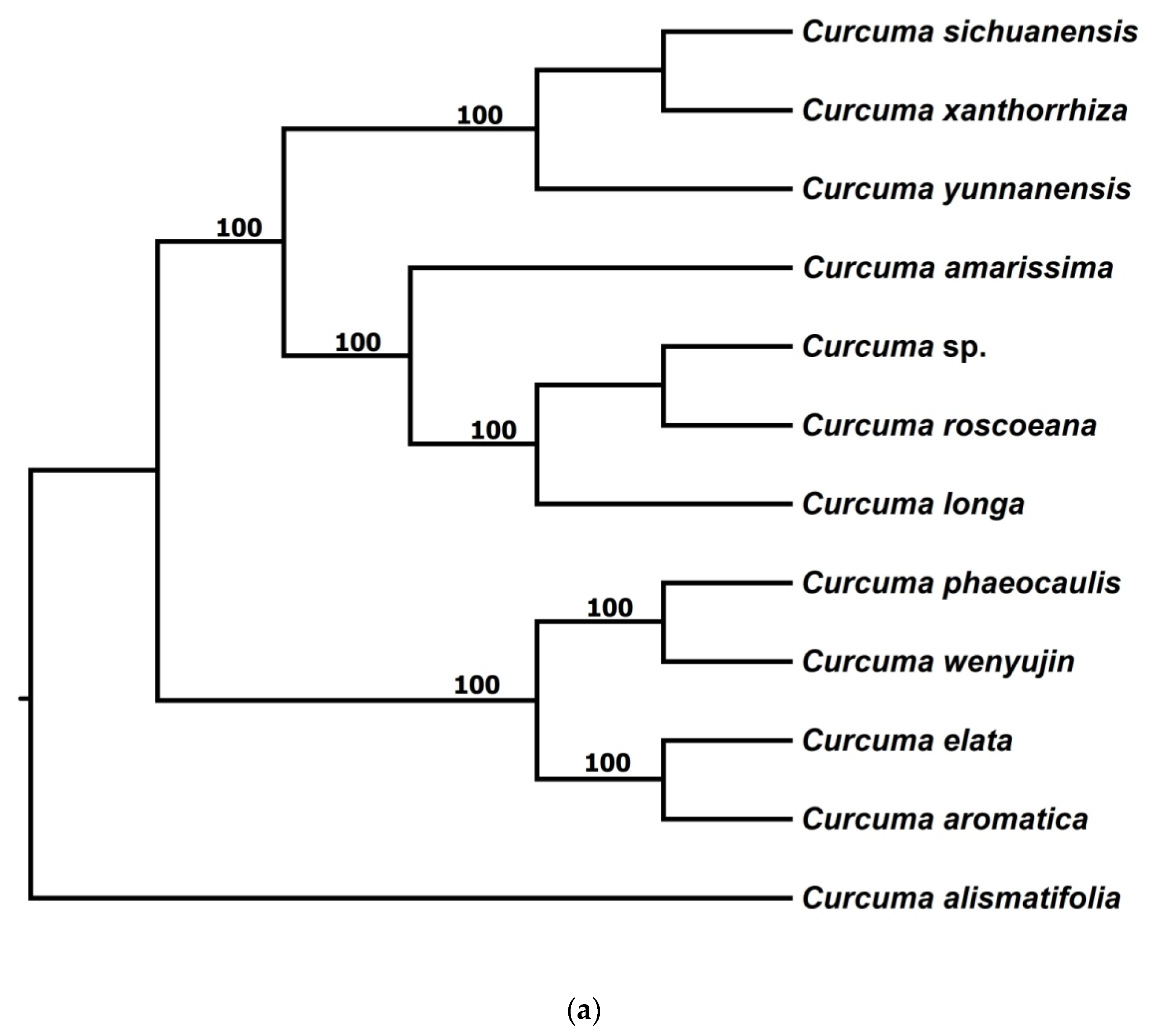 Forests 13 00280 g003a