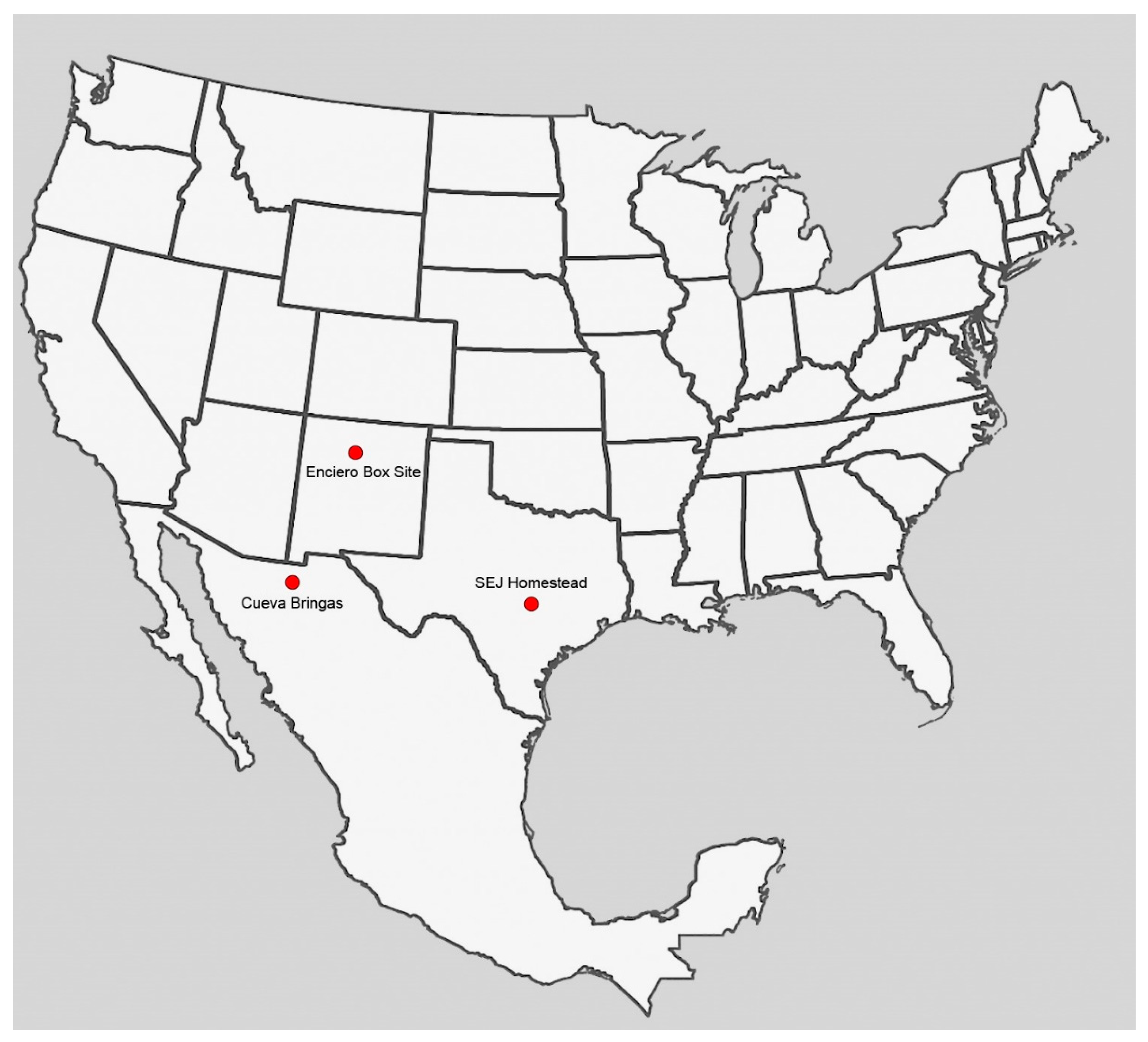 Forests 13 00281 g001