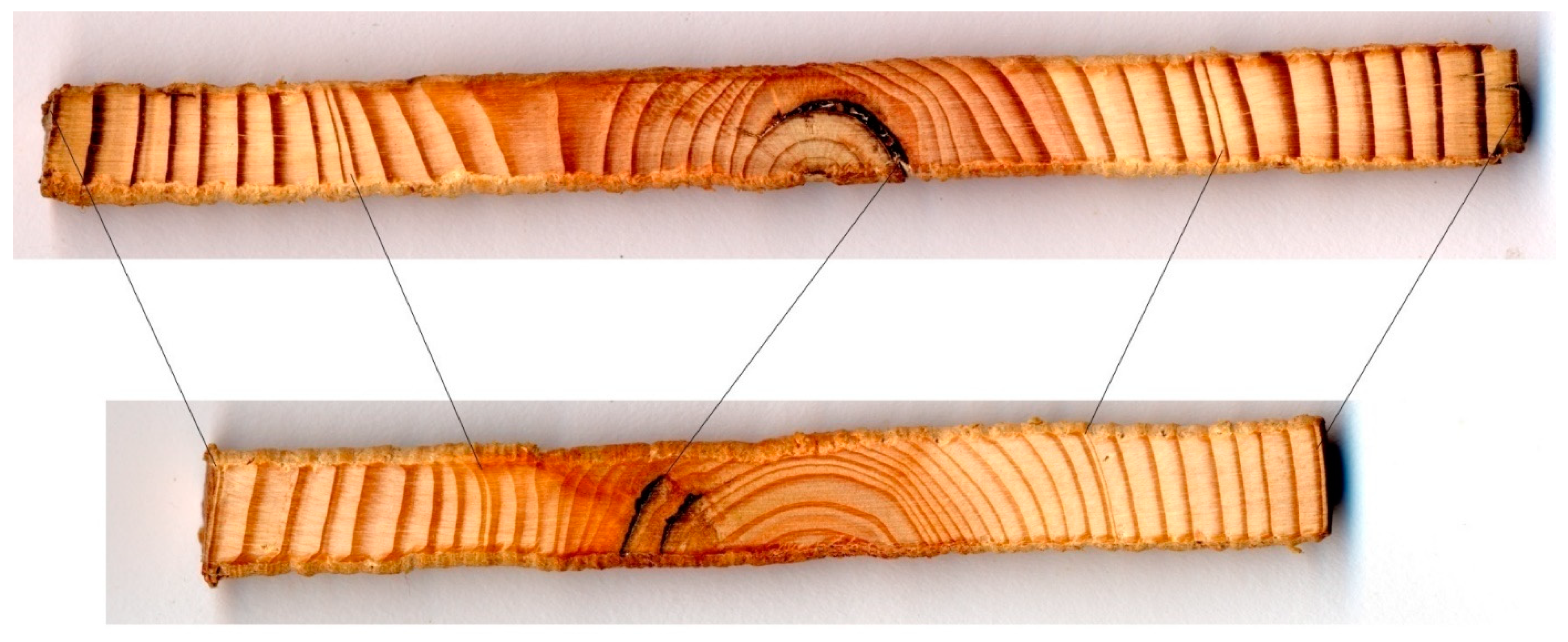 Forests 13 00281 g003