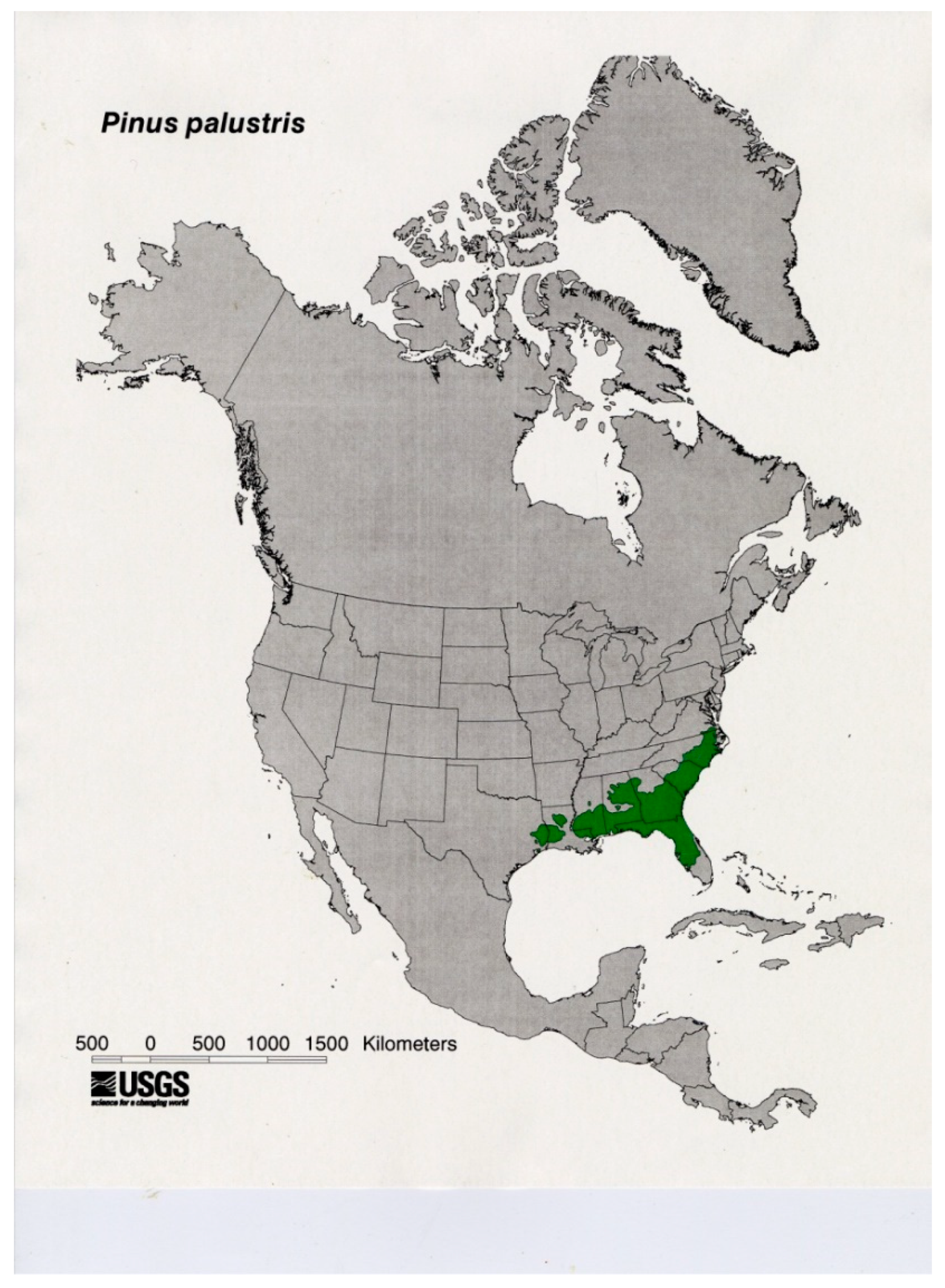 Forests 13 00281 g004
