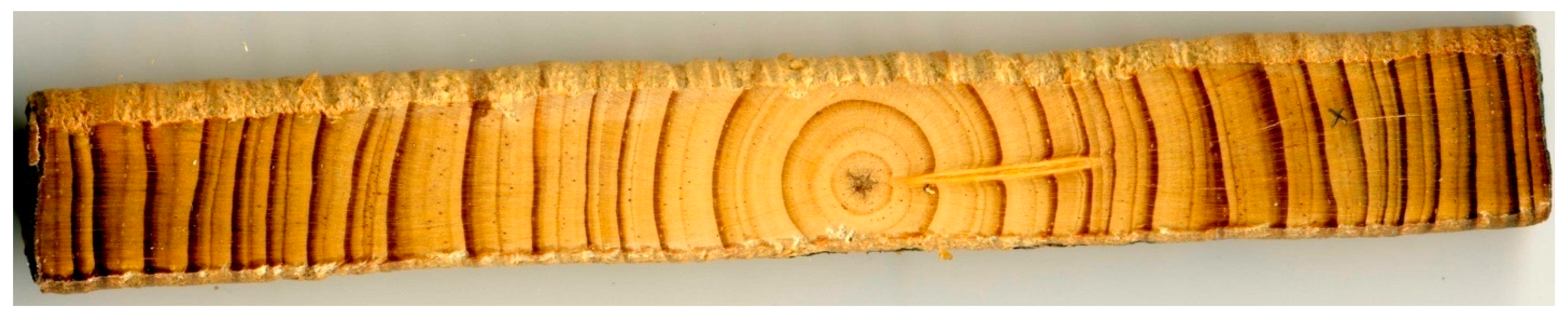 Forests 13 00281 g005