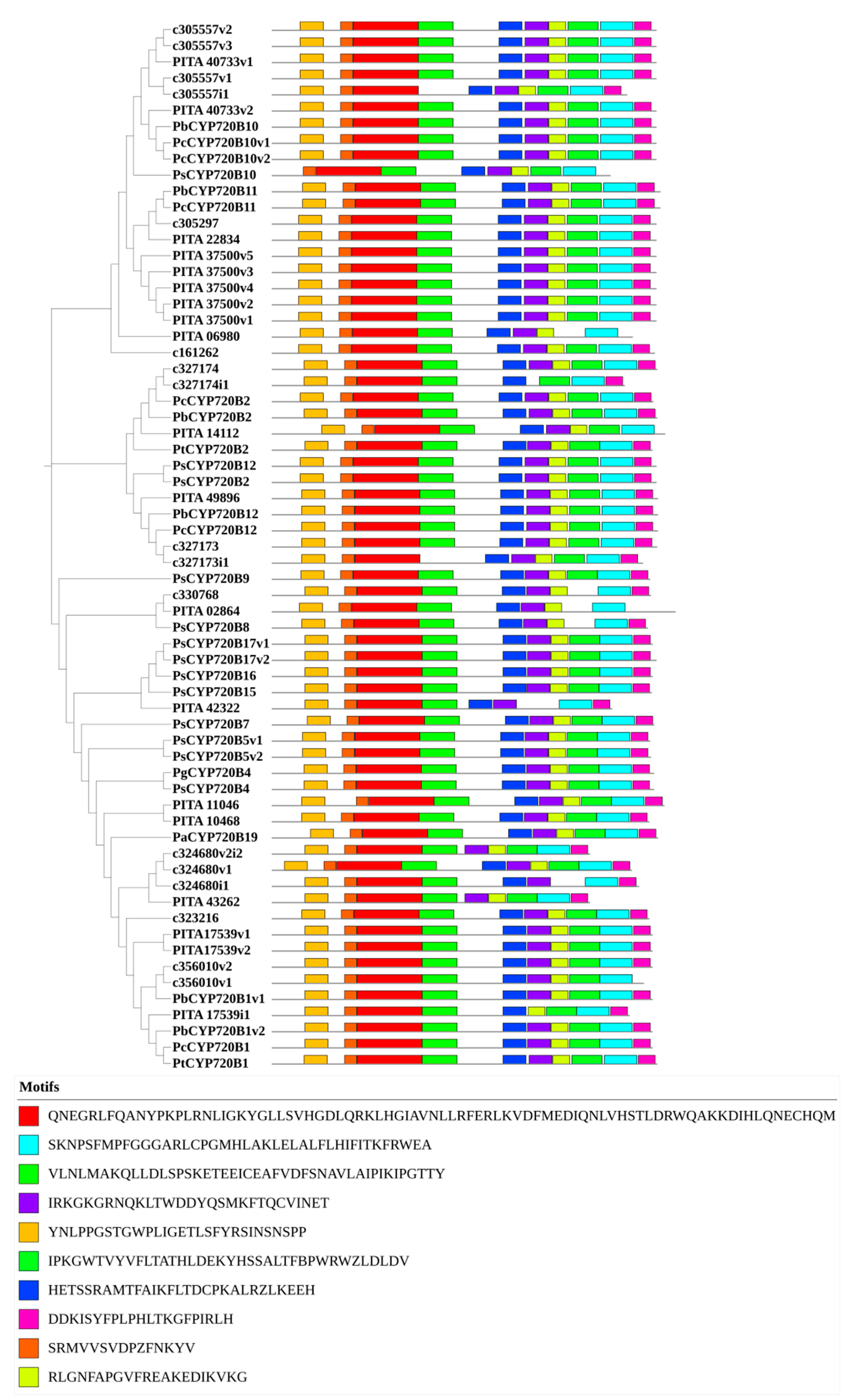 Forests 13 00283 g003