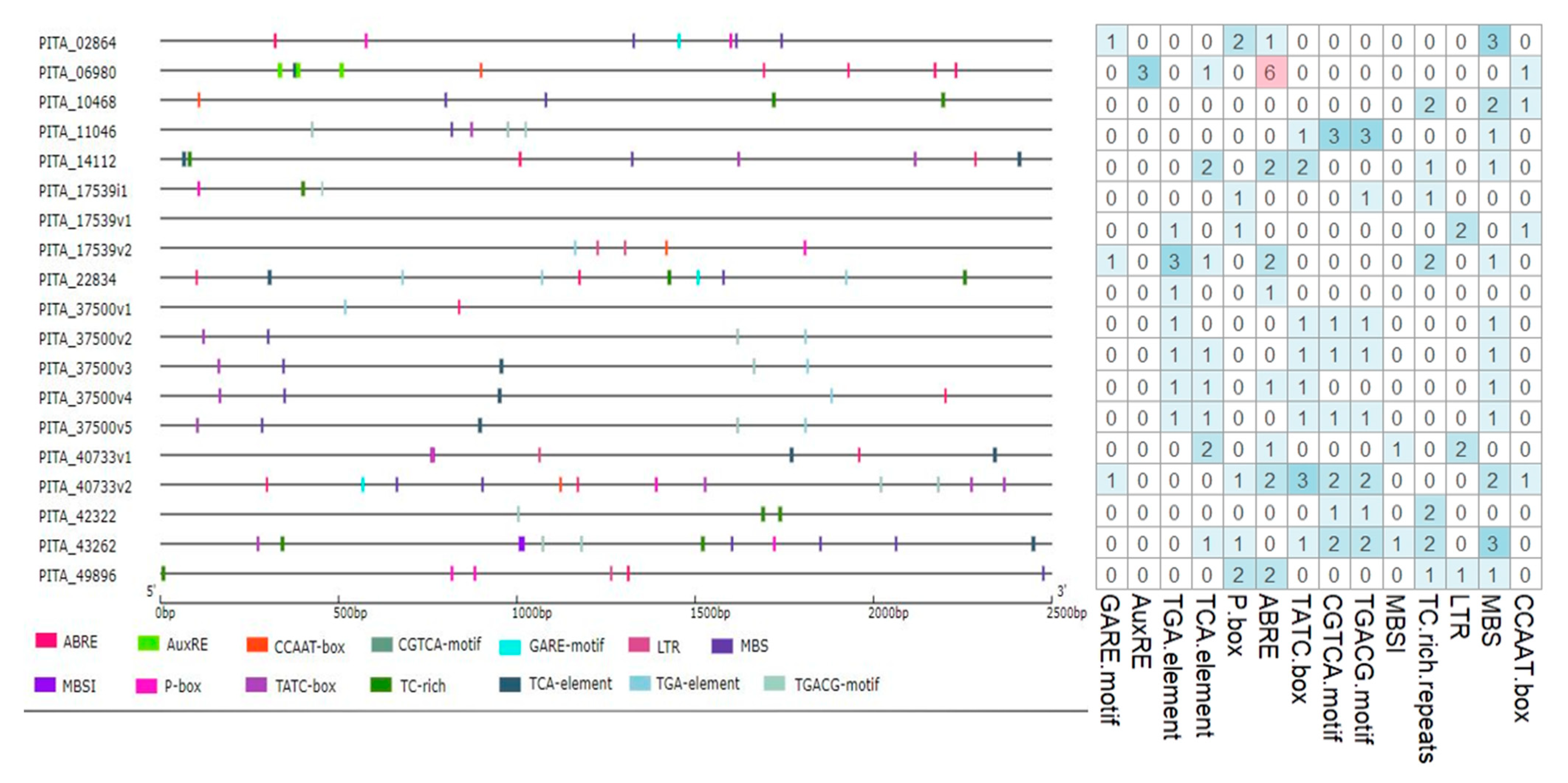 Forests 13 00283 g004