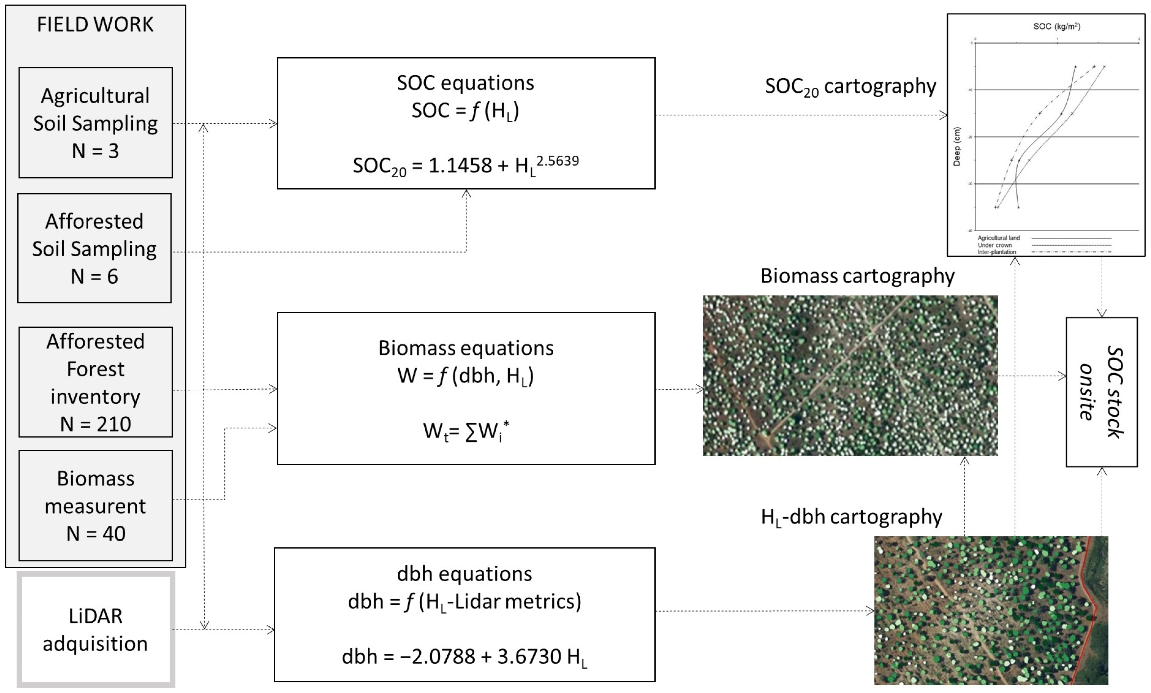 Forests 13 00285 g001