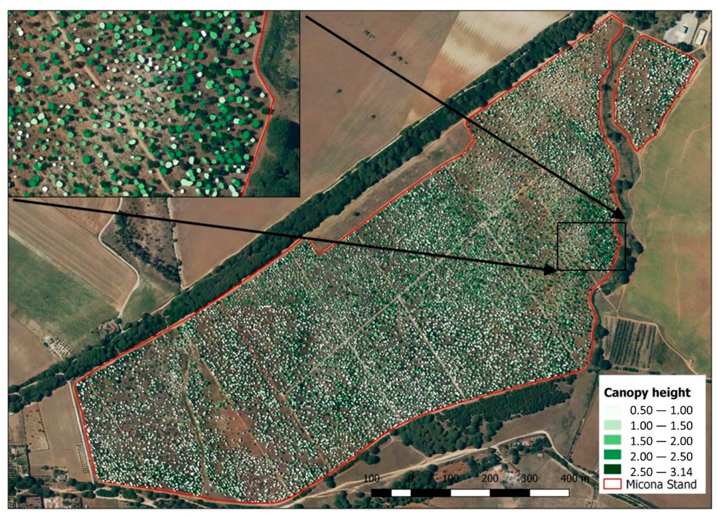Forests 13 00285 g002