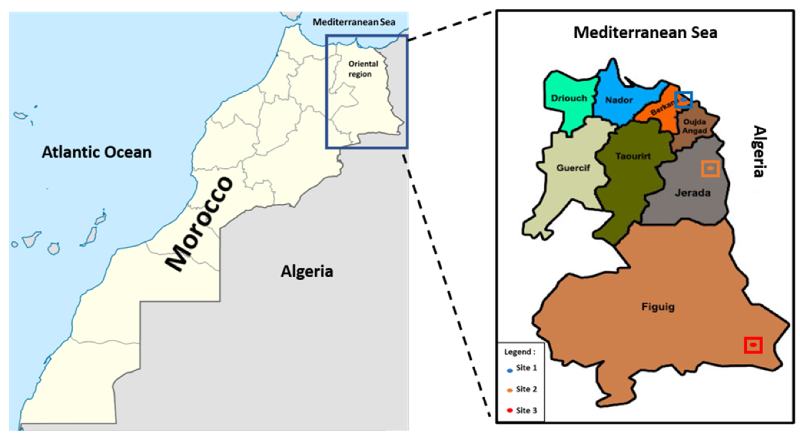 Forests 13 00287 g001 Forests 13 00287 g001