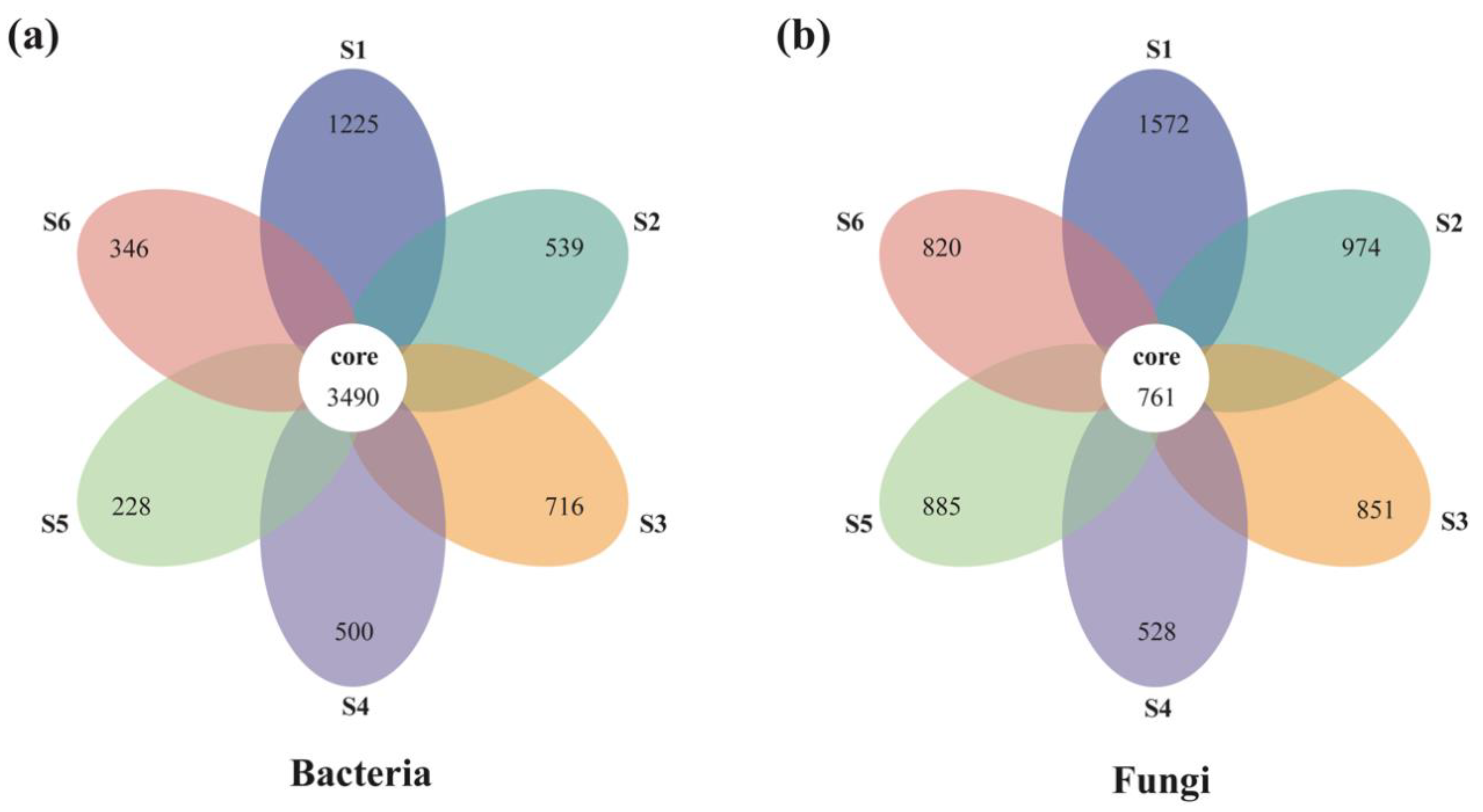 Forests 13 00289 g001