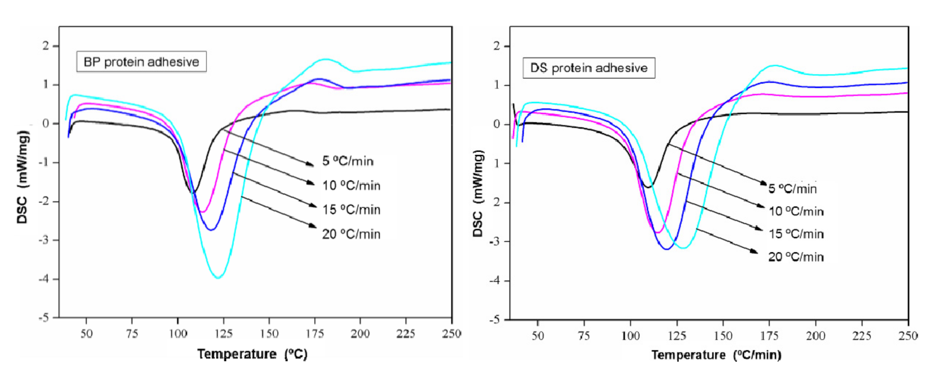 Forests 13 00291 g002