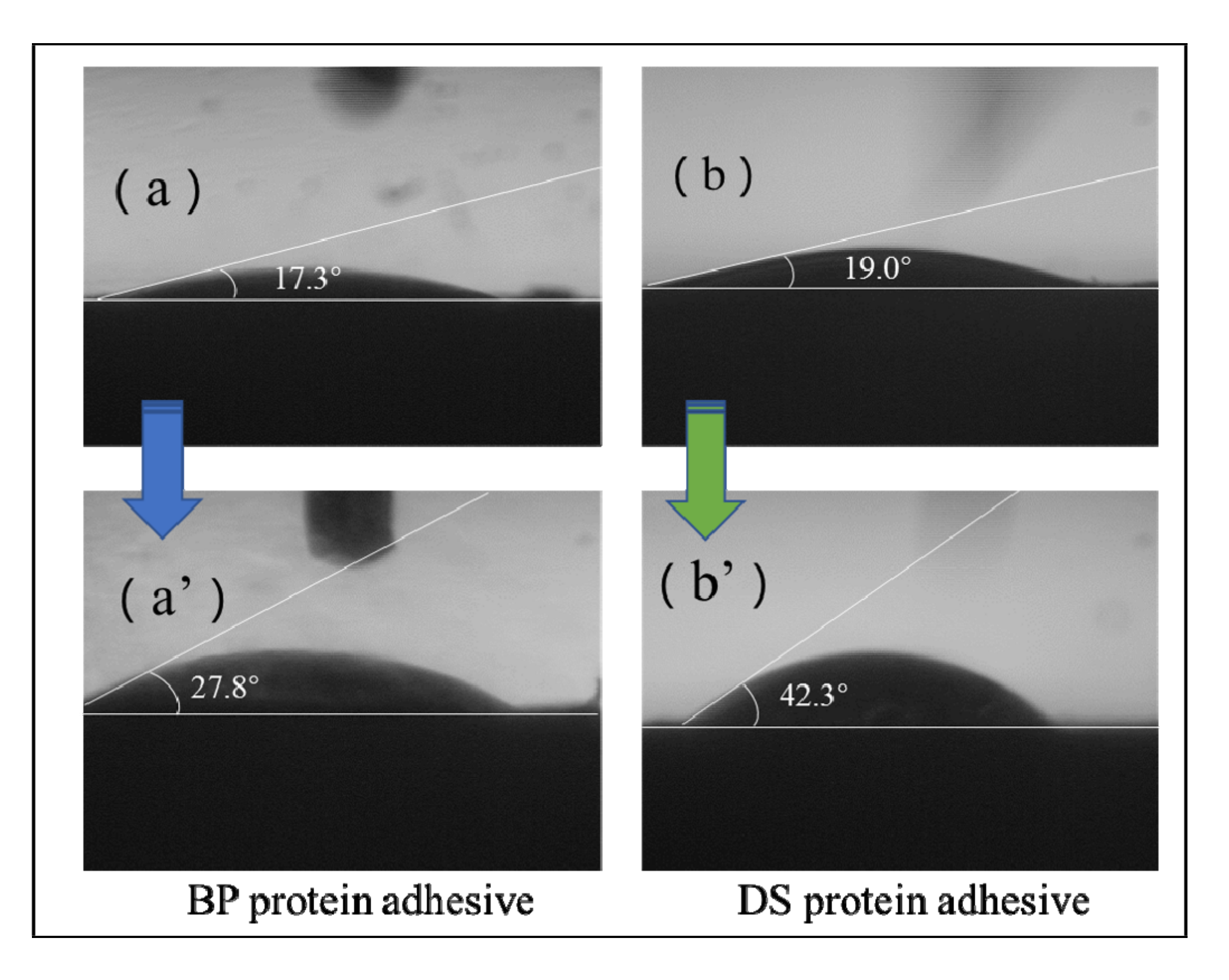 Forests 13 00291 g004