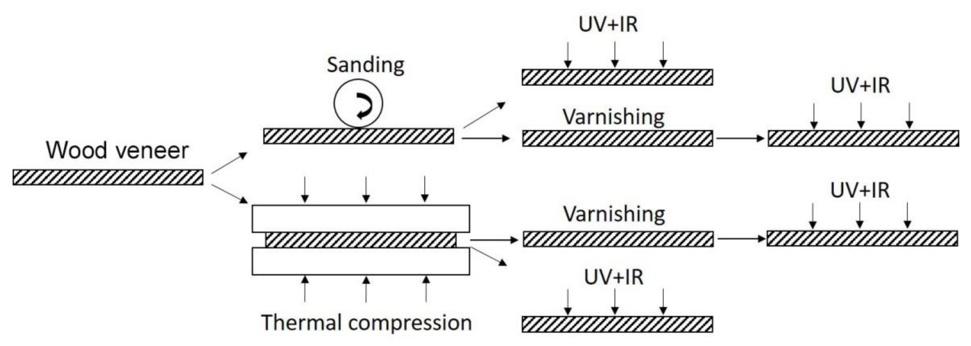 Forests 13 00300 g001