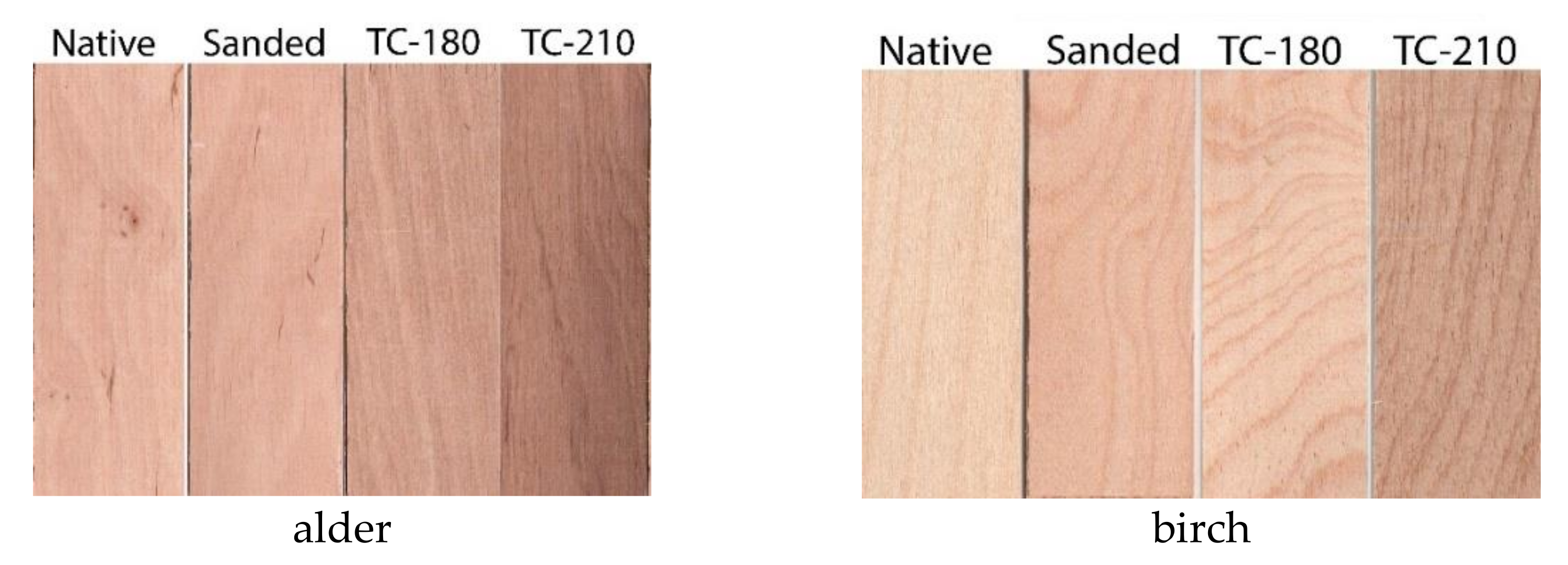 Forests 13 00300 g002