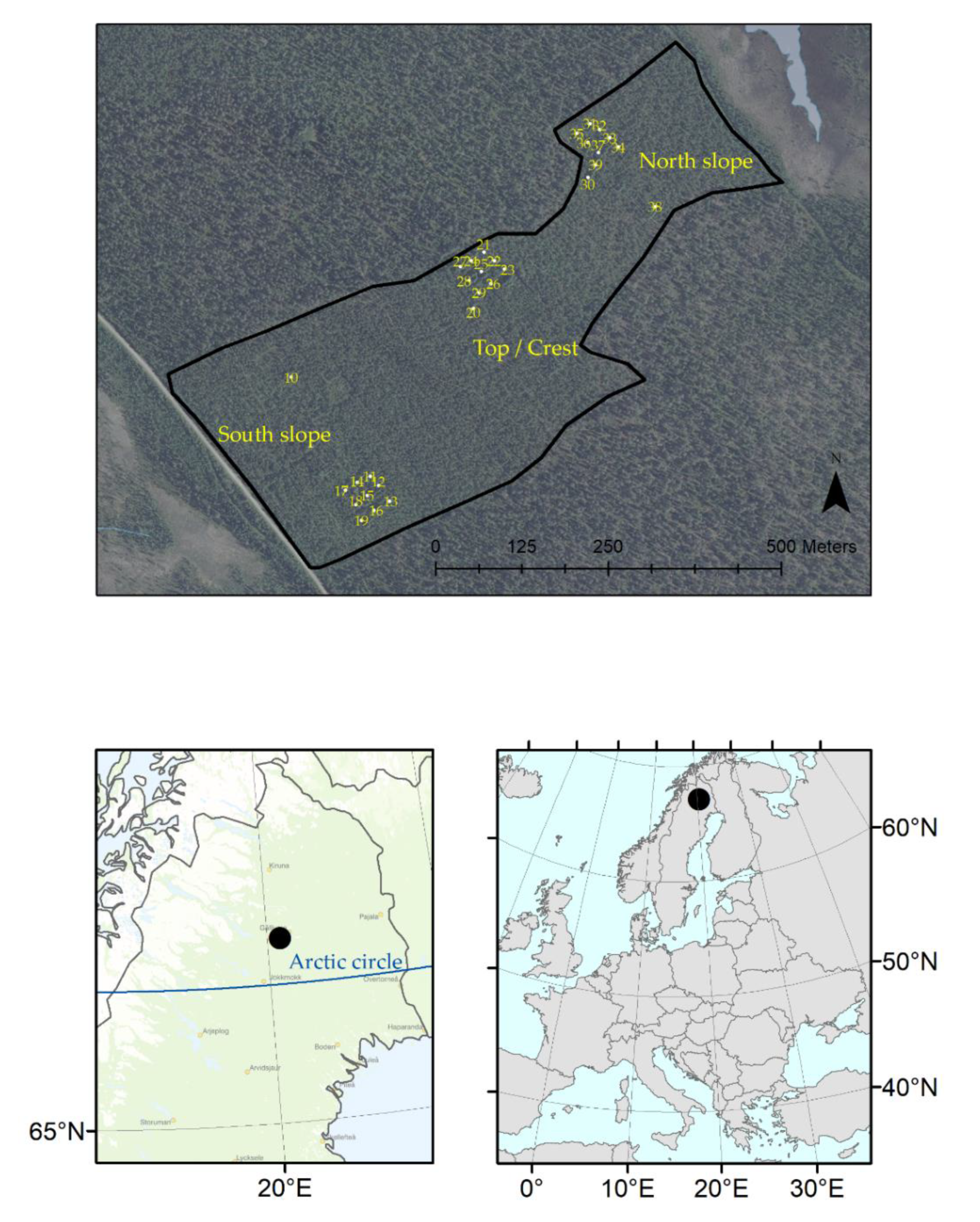 Forests 13 00301 g001