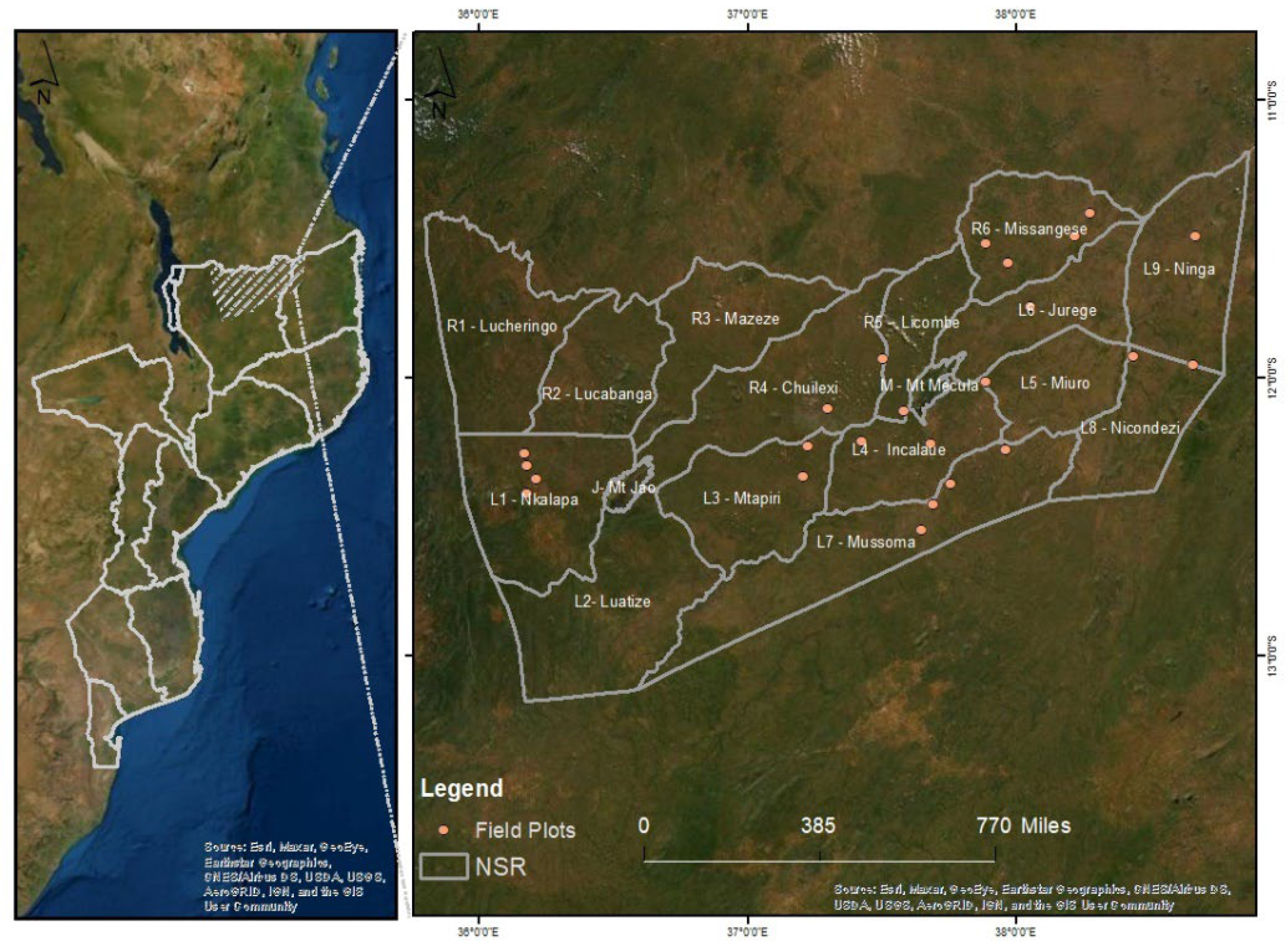 Forests 13 00311 g001