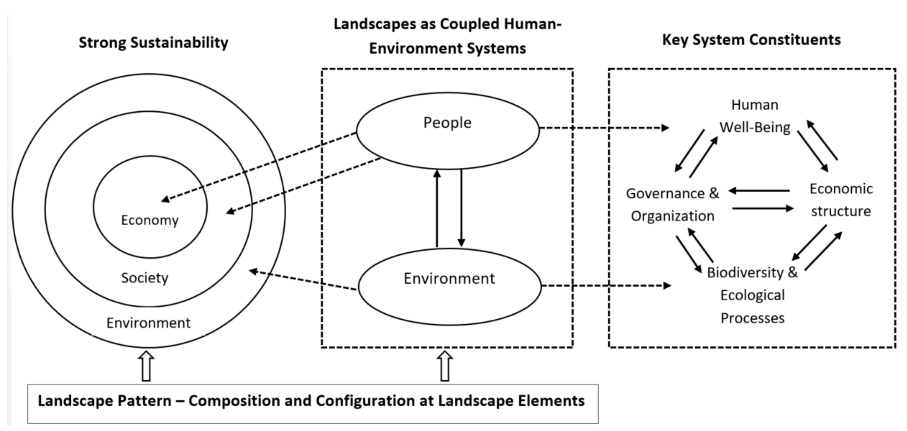 Forests 13 00312 g001
