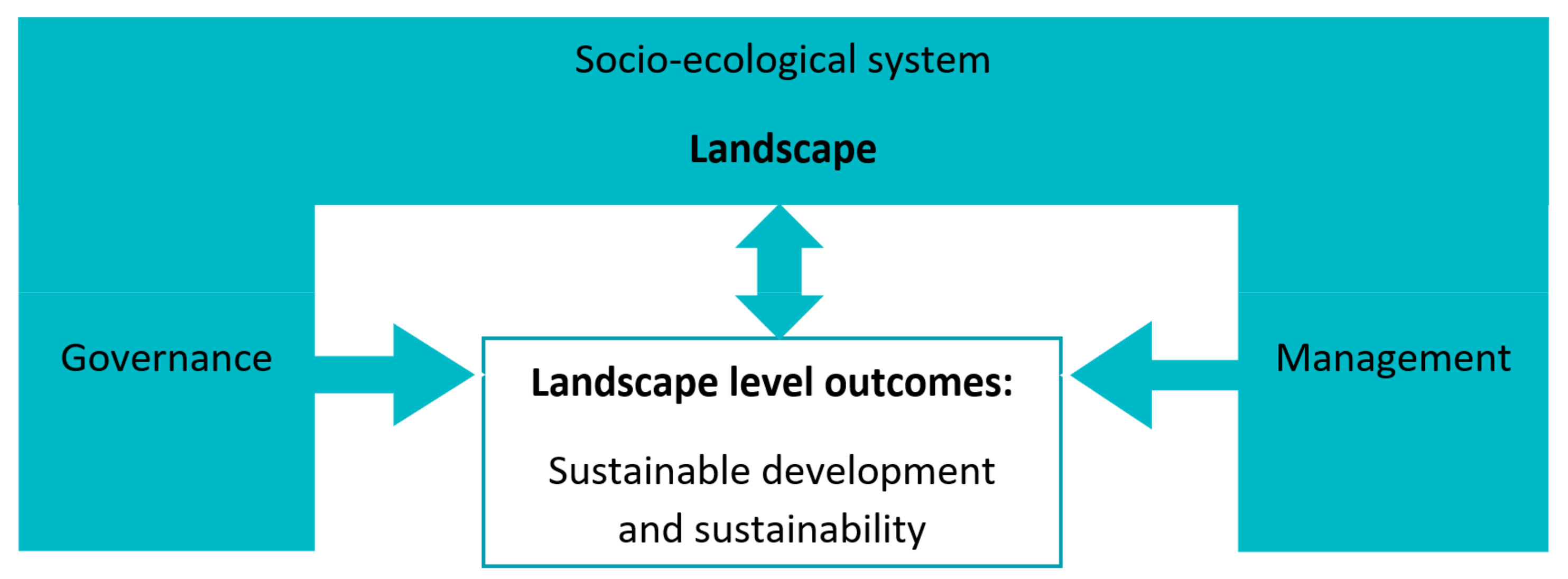 Forests 13 00312 g003
