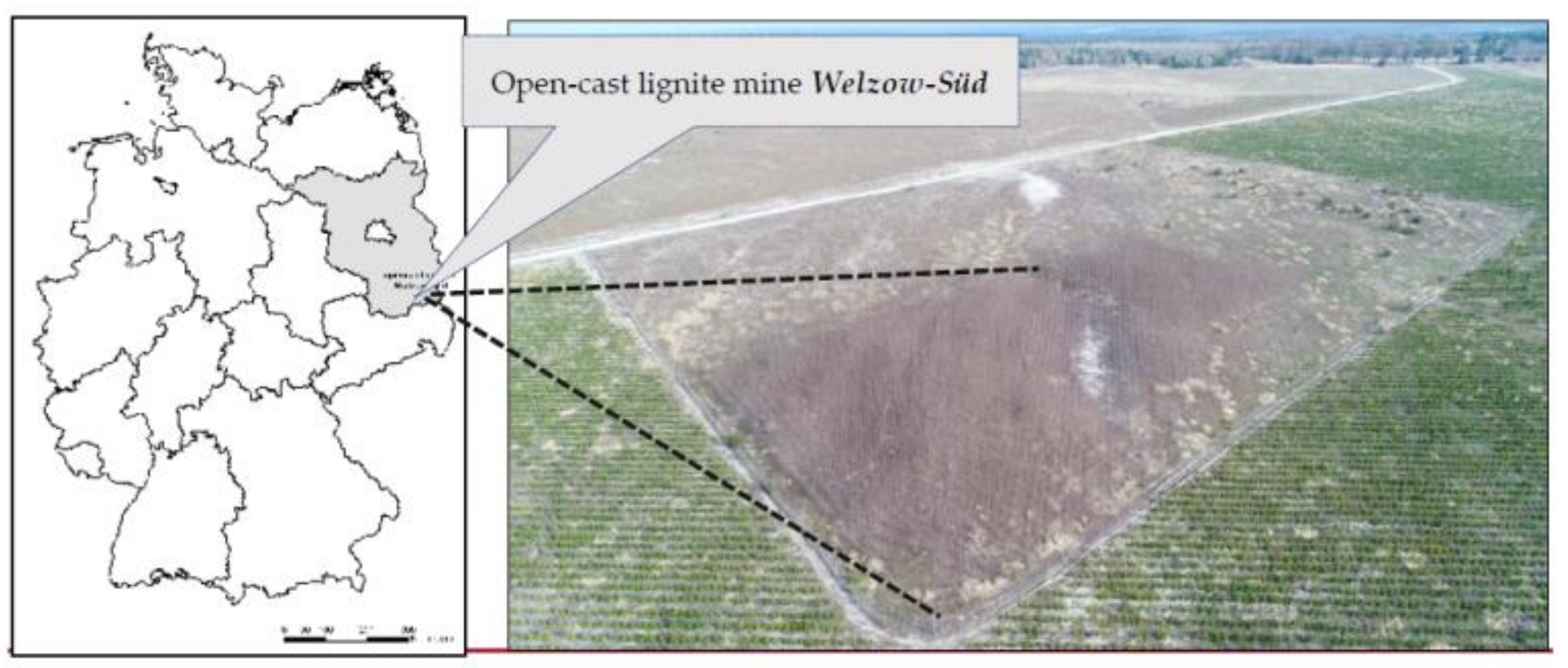 Forests 13 00315 g001