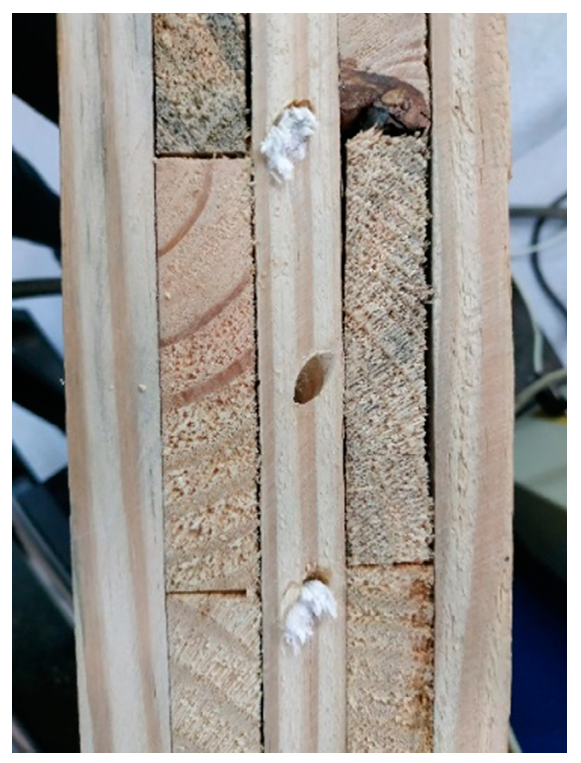 Forests 13 00320 g009