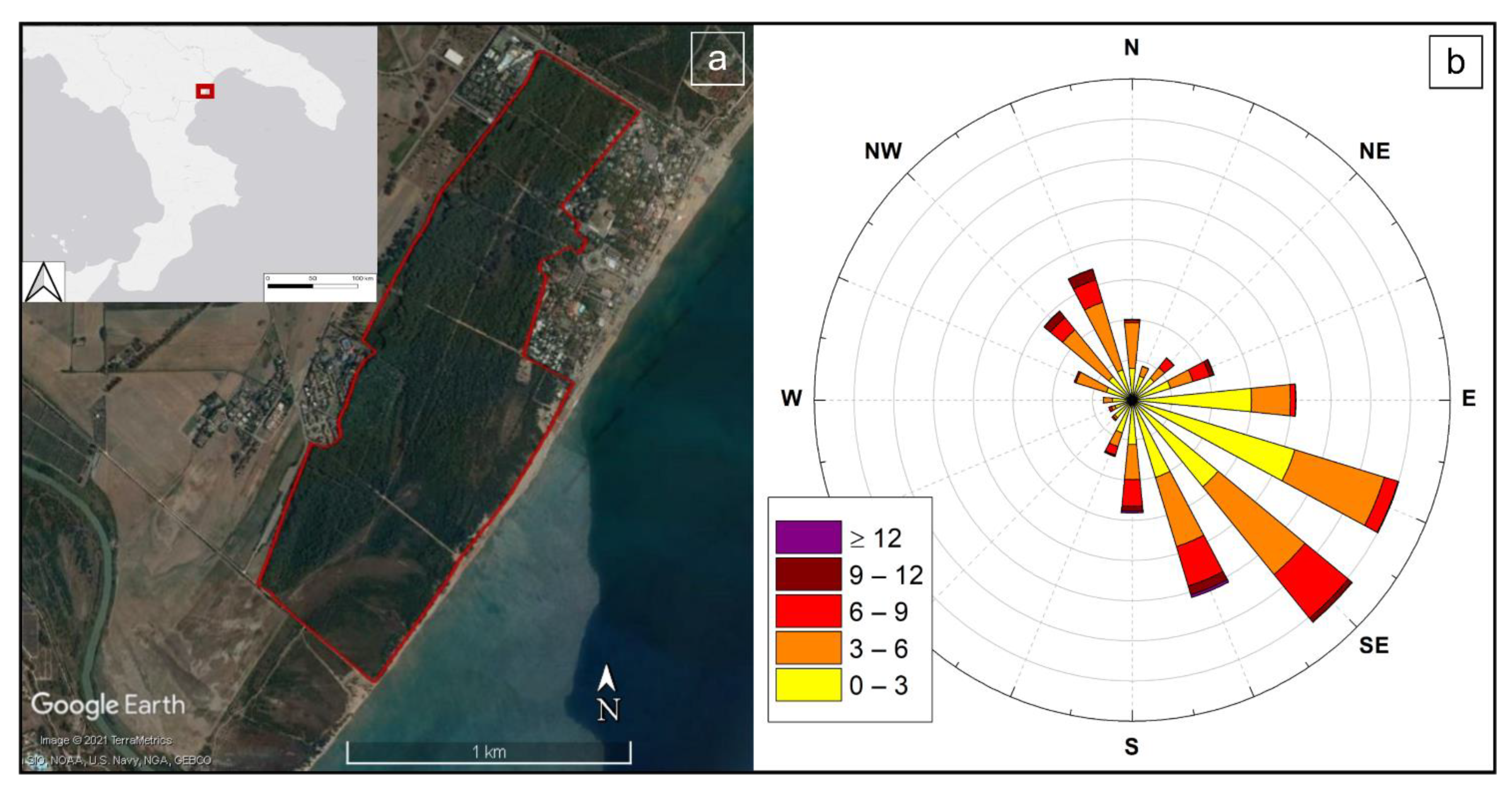 Forests 13 00322 g001 Forests 13 00322 g001