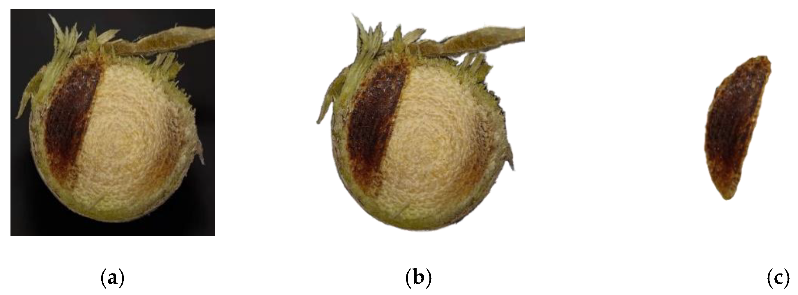 Forests 13 00327 g003