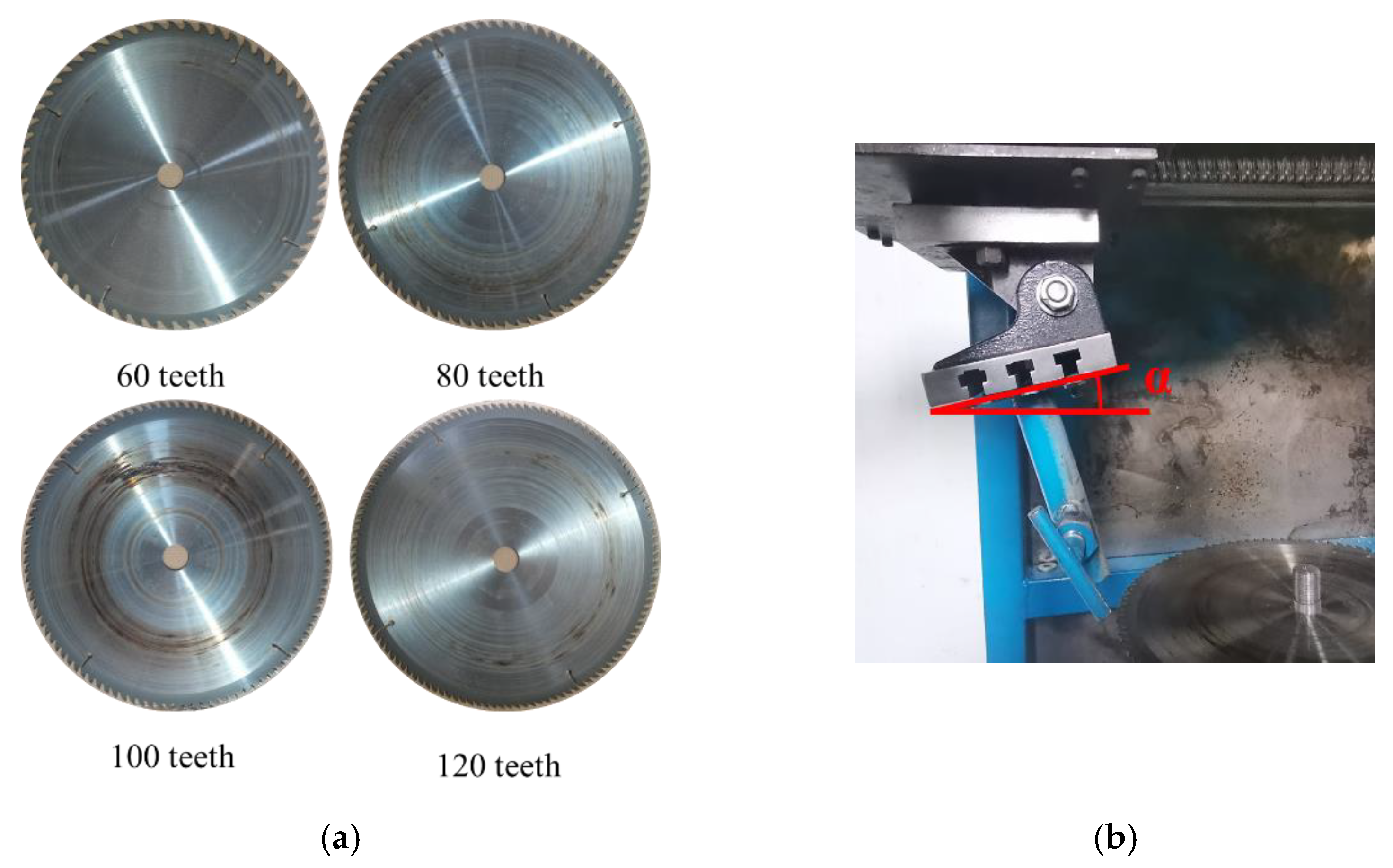 Forests 13 00327 g005