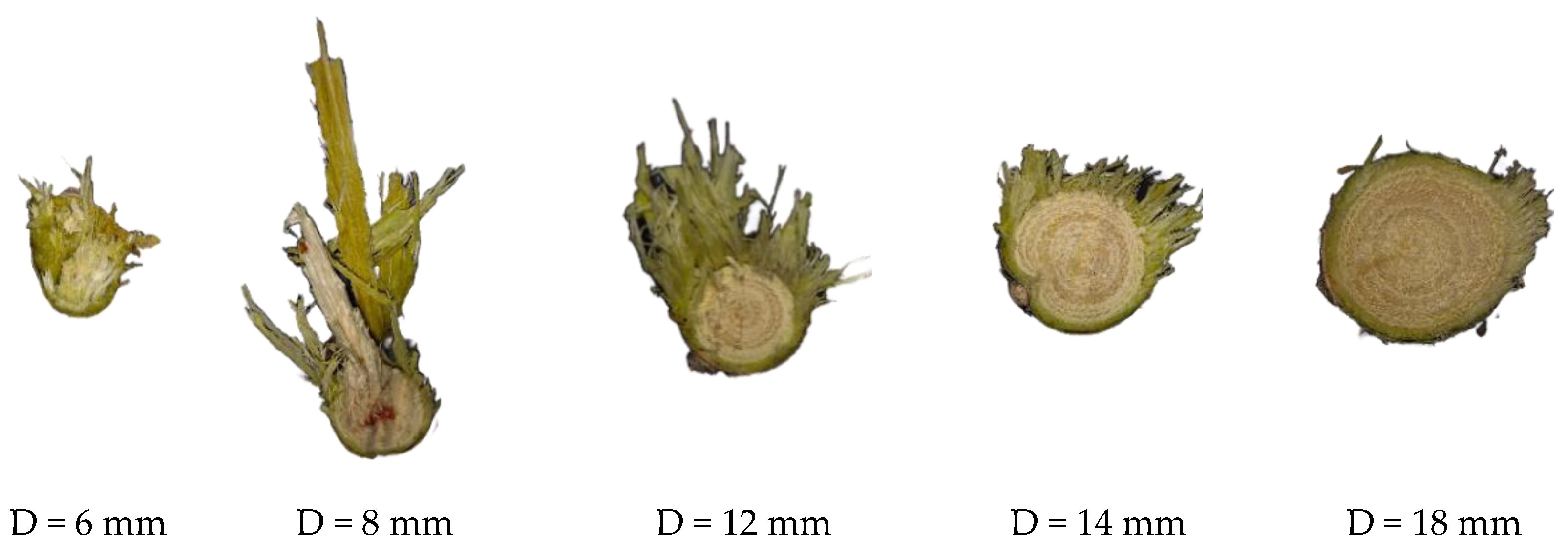 Forests 13 00327 g013