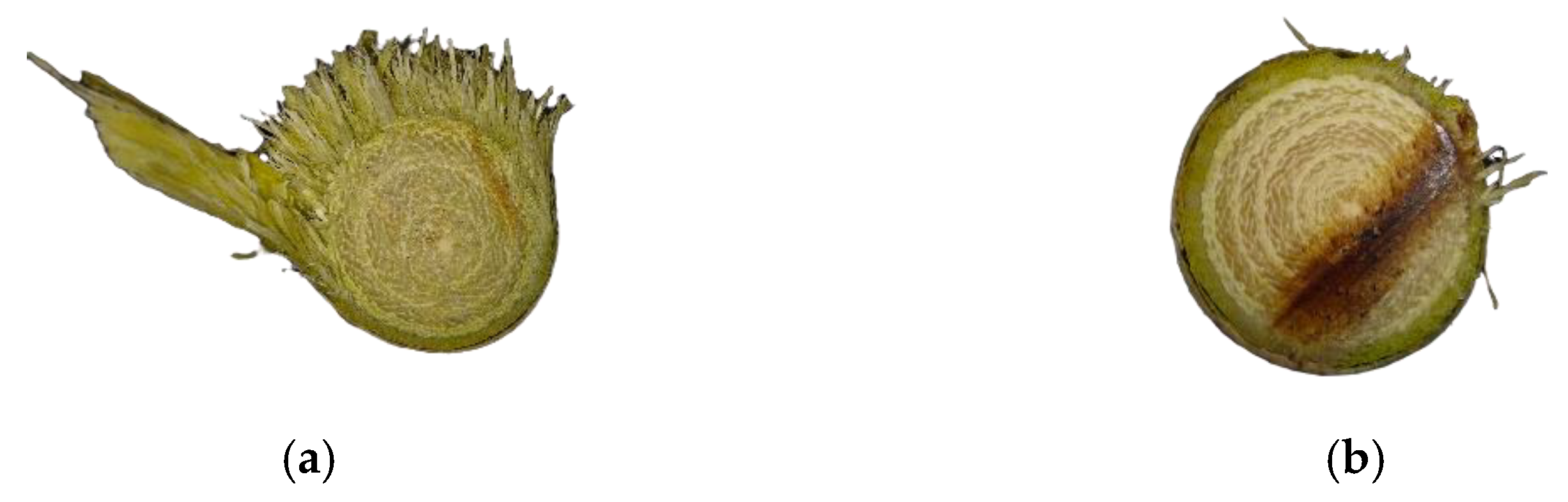 Forests 13 00327 g014