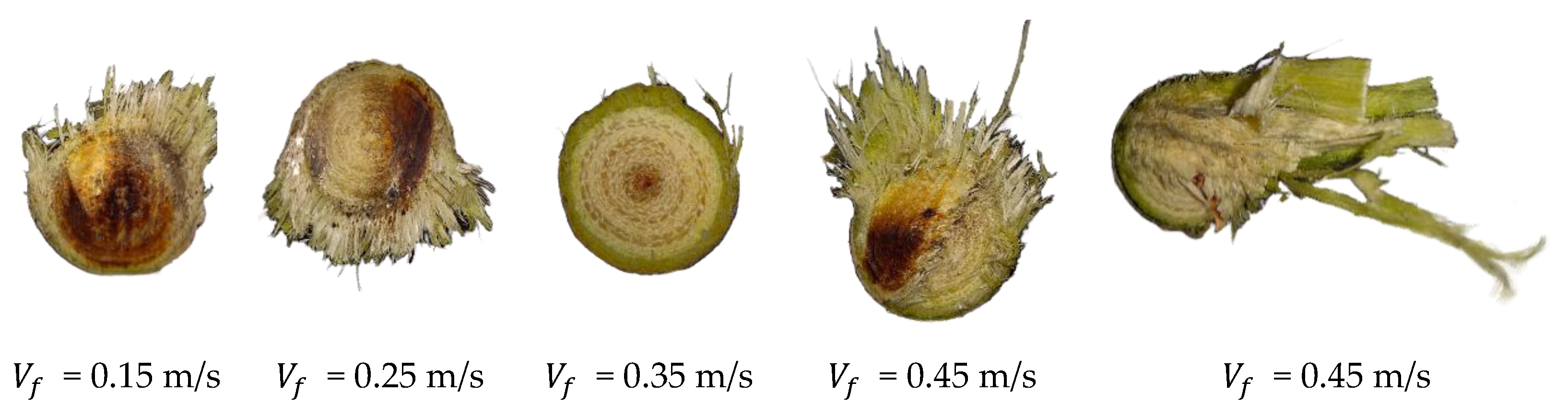 Forests 13 00327 g015