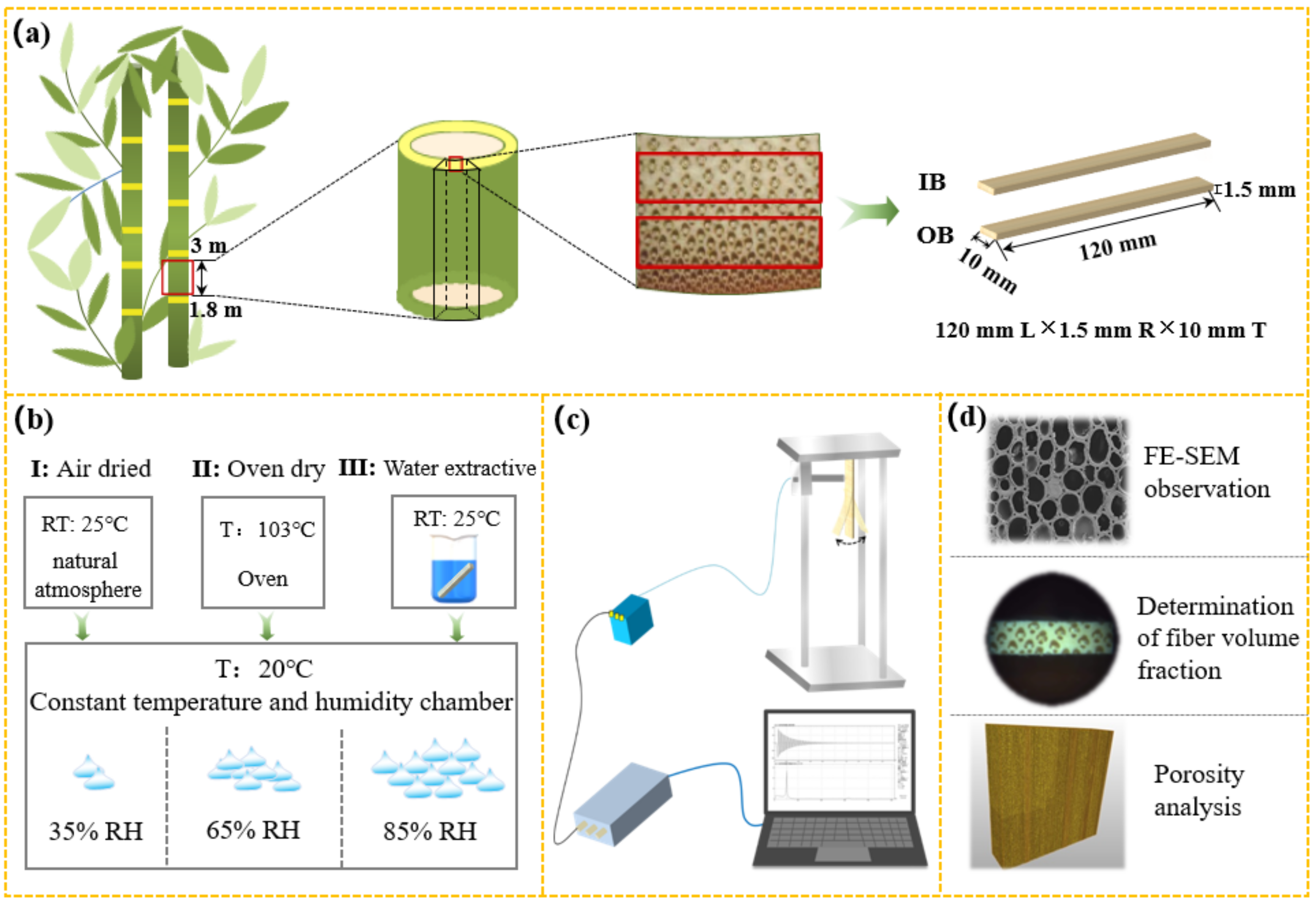Forests 13 00329 g001