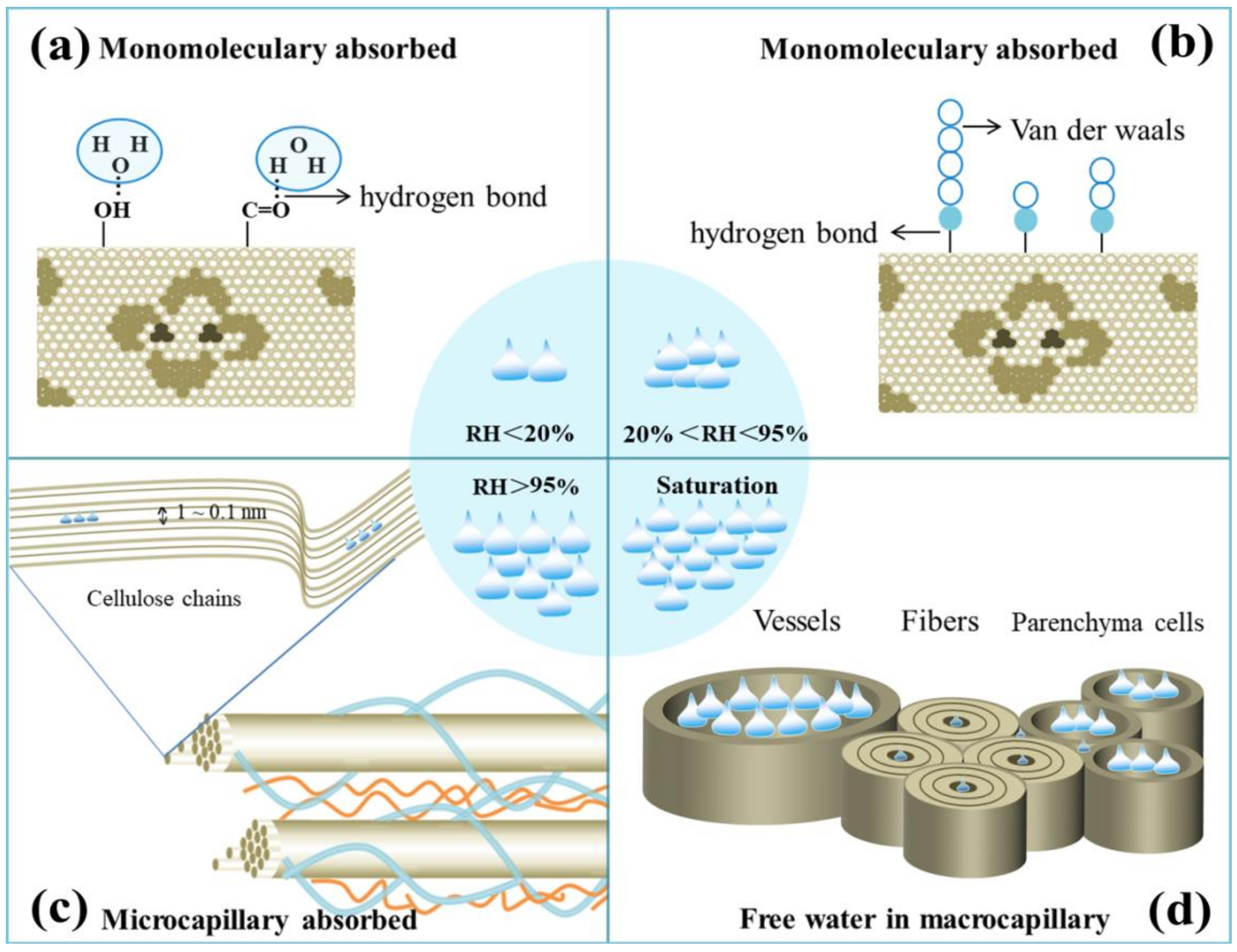 Forests 13 00329 g009