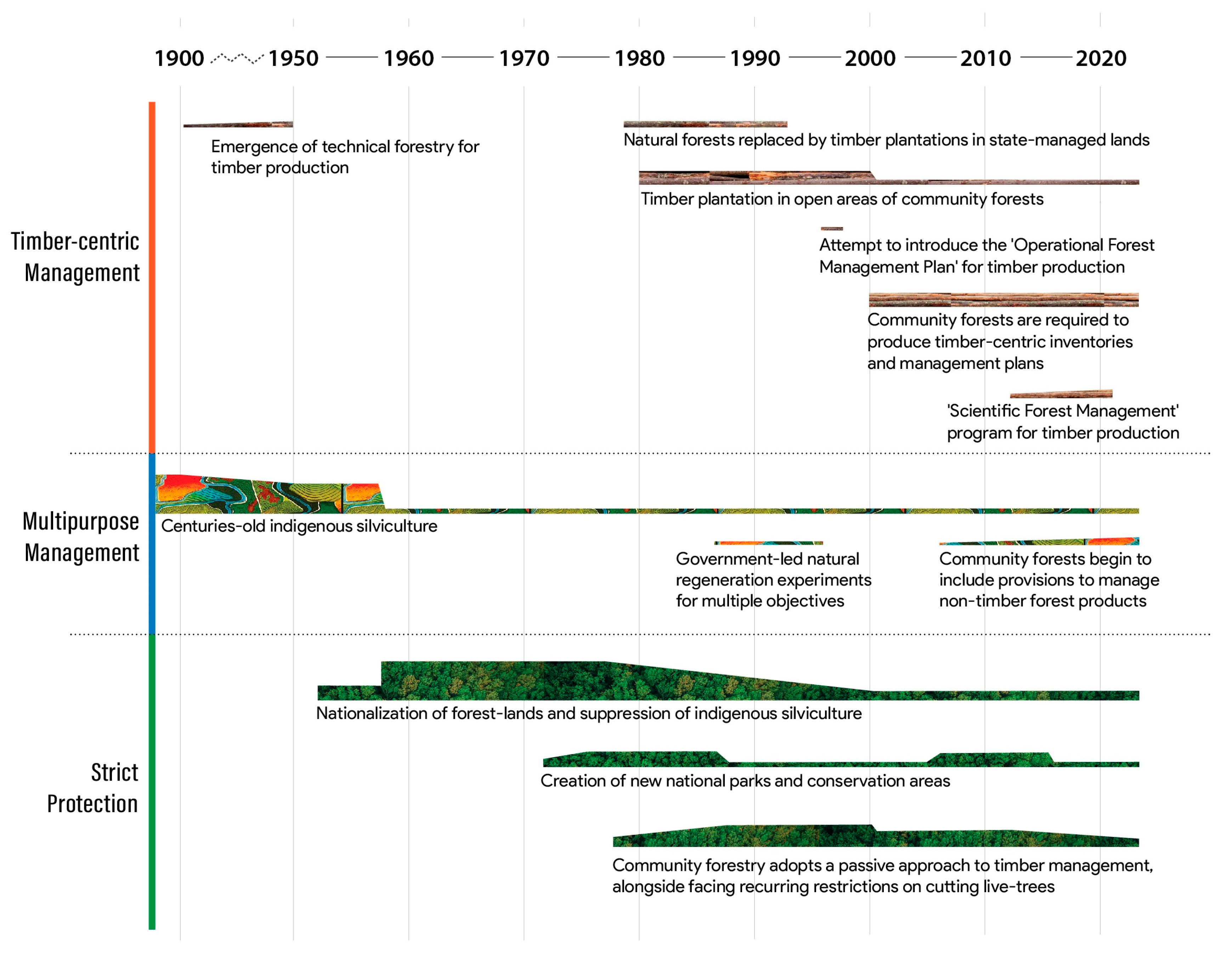 Forests 13 00333 g001 Forests 13 00333 g001