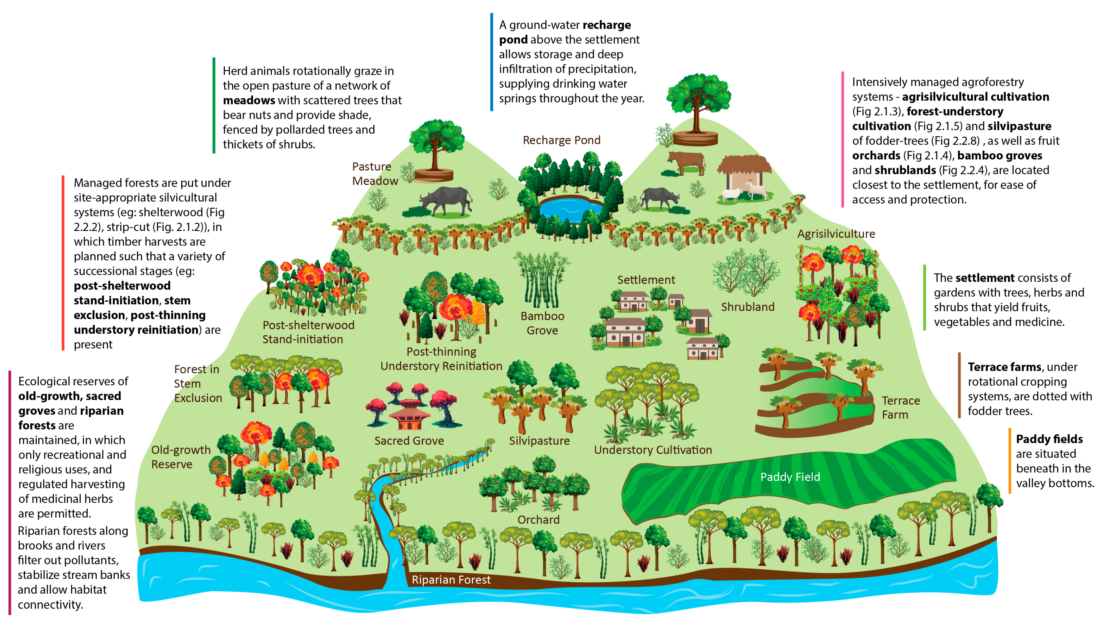 Forests 13 00333 g003 Forests 13 00333 g003