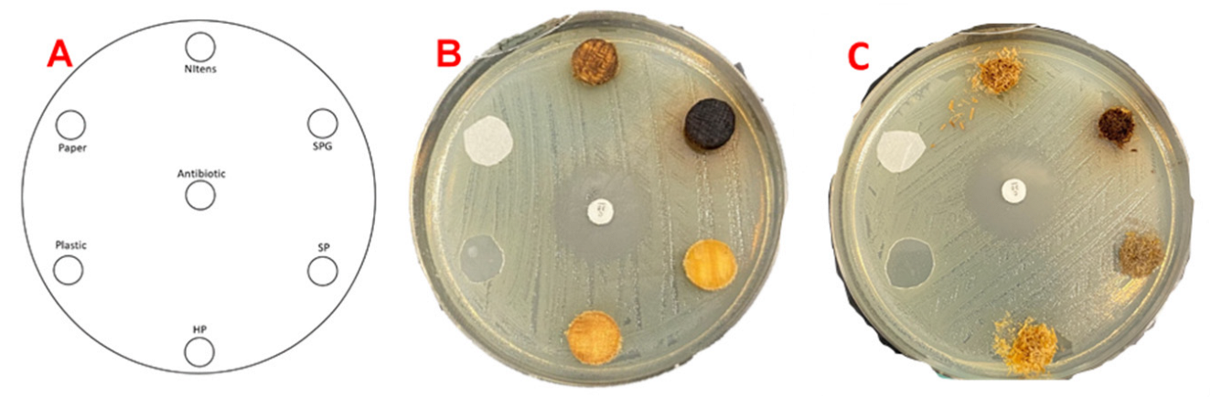 Forests 13 00334 g001