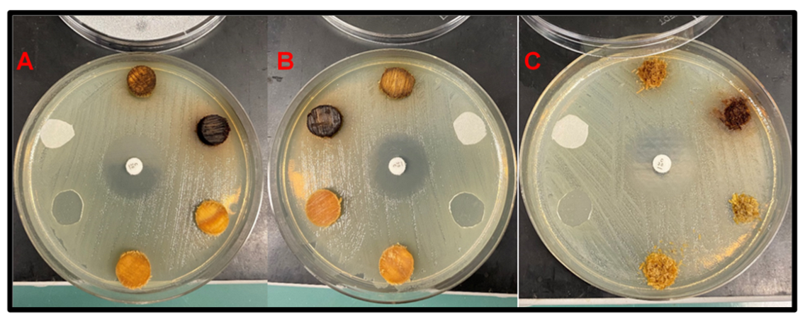 Forests 13 00334 g002