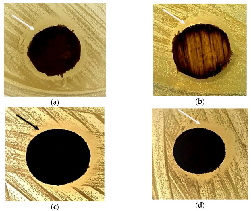 Forests 13 00334 g003
