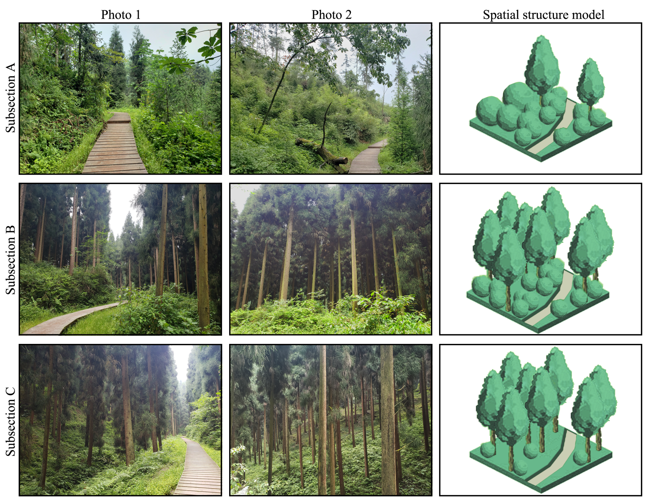 Forests 13 00335 g002