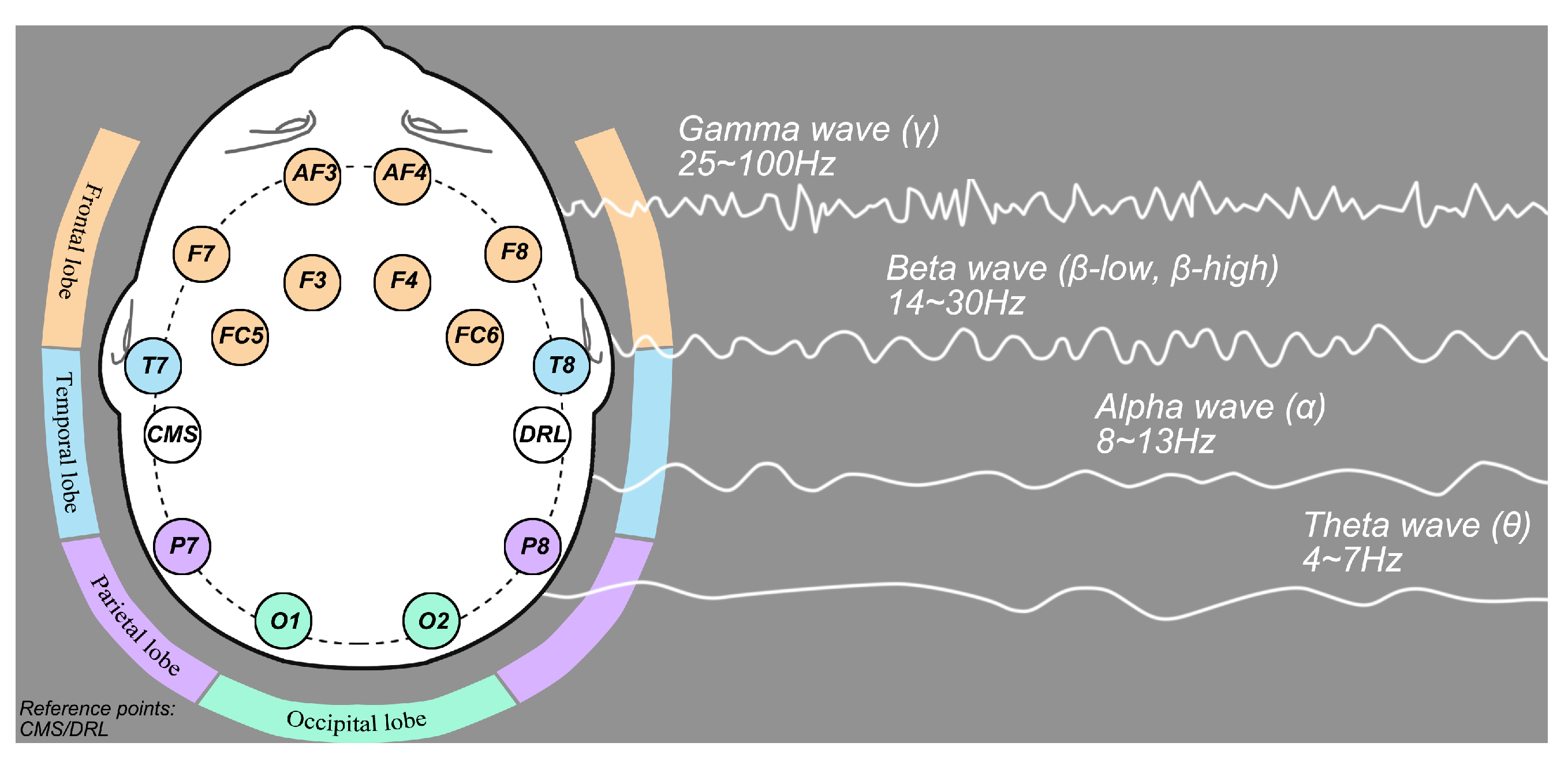 Forests 13 00335 g003