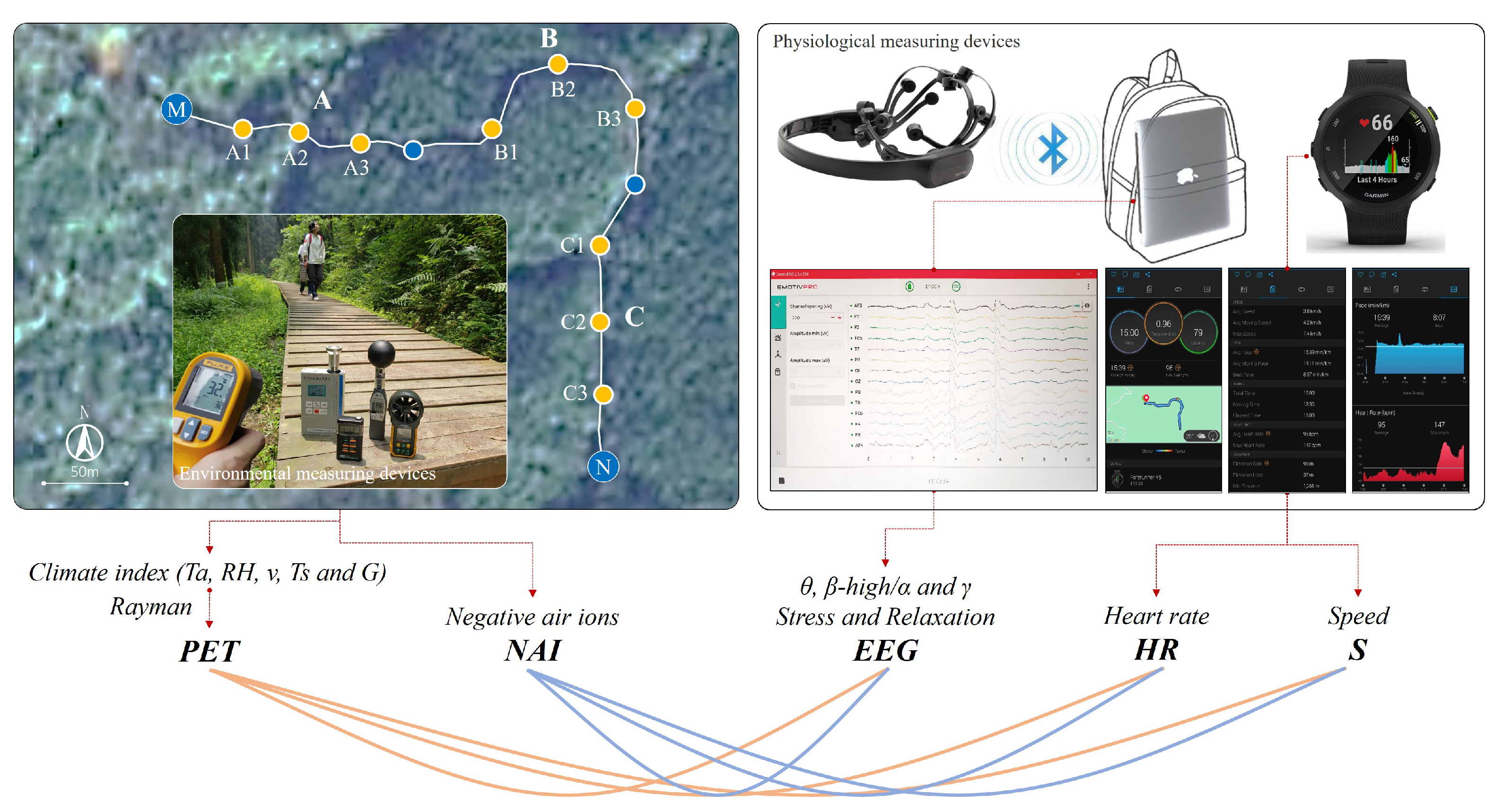 Forests 13 00335 g004